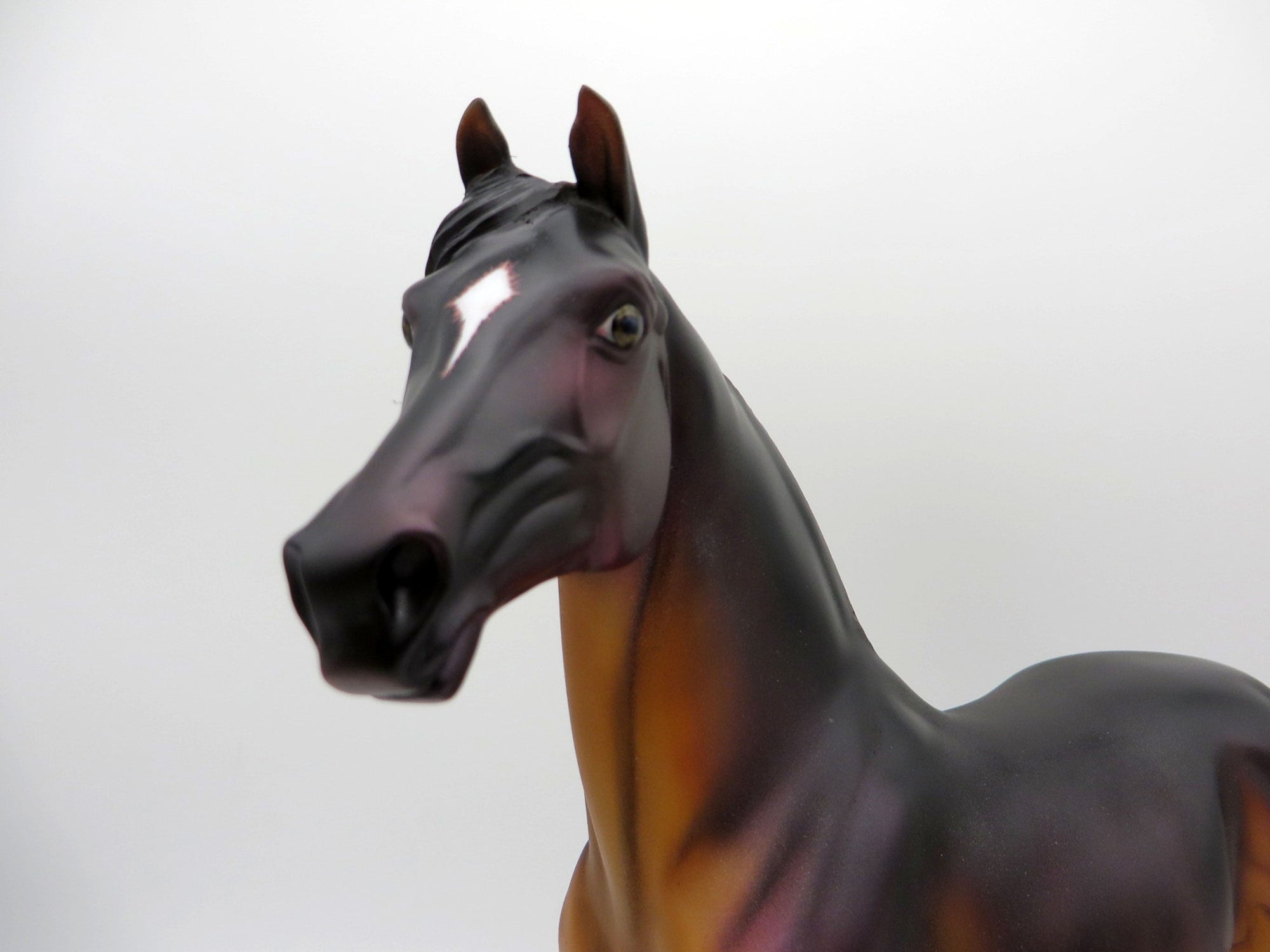 Twain-OOAK Bay Morgan By Jas Fanning EQ 2021