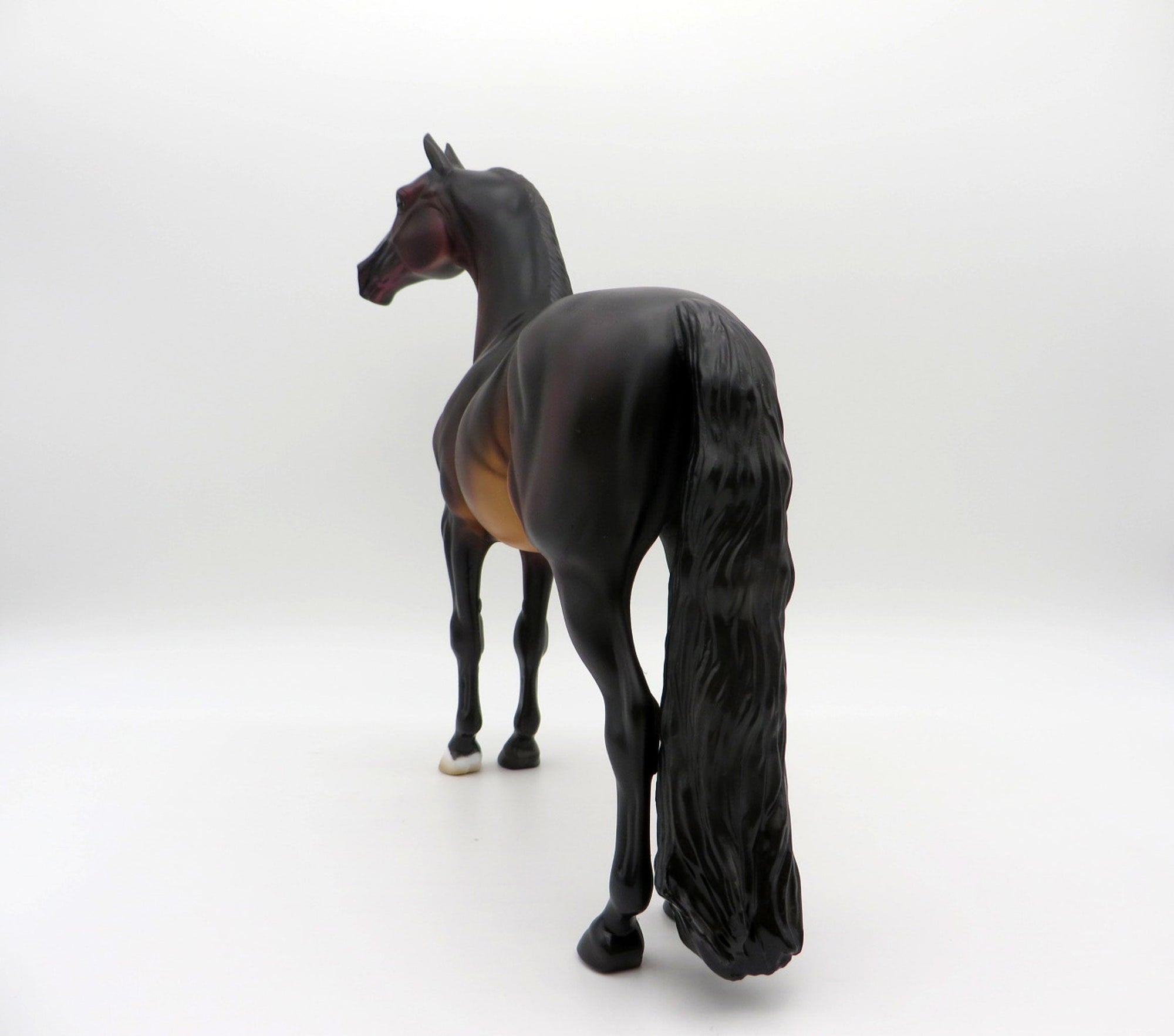 Twain-OOAK Bay Morgan By Jas Fanning EQ 2021