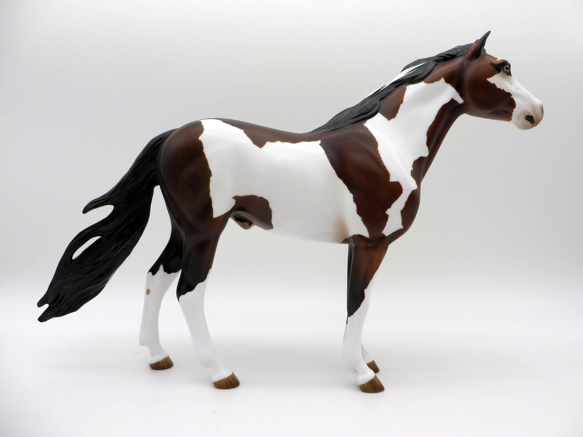 Twister-Bay Pinto Mustang Painted By Audrey Dixon EQ 21