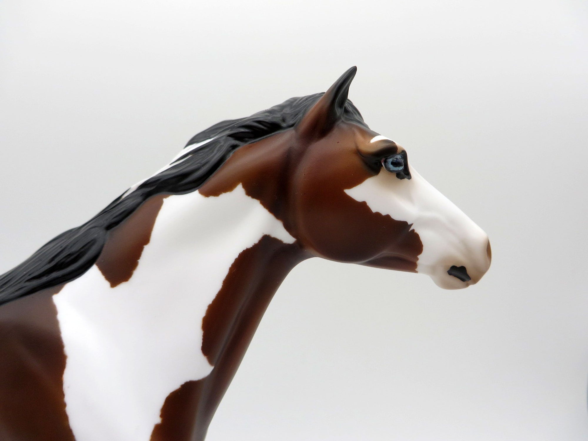 Twister-Bay Pinto Mustang Painted By Audrey Dixon EQ 21