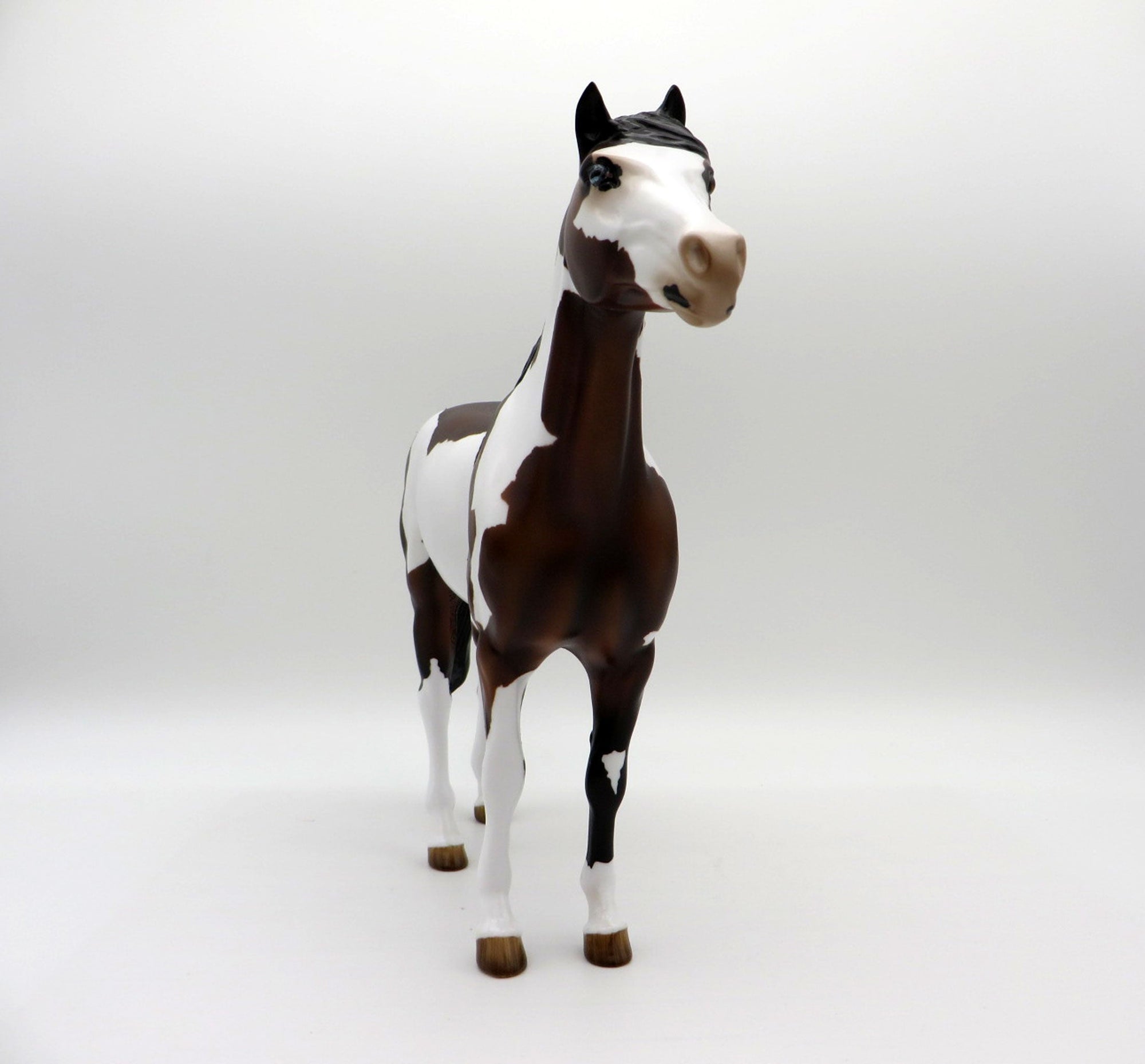 Twister-Bay Pinto Mustang Painted By Audrey Dixon EQ 21