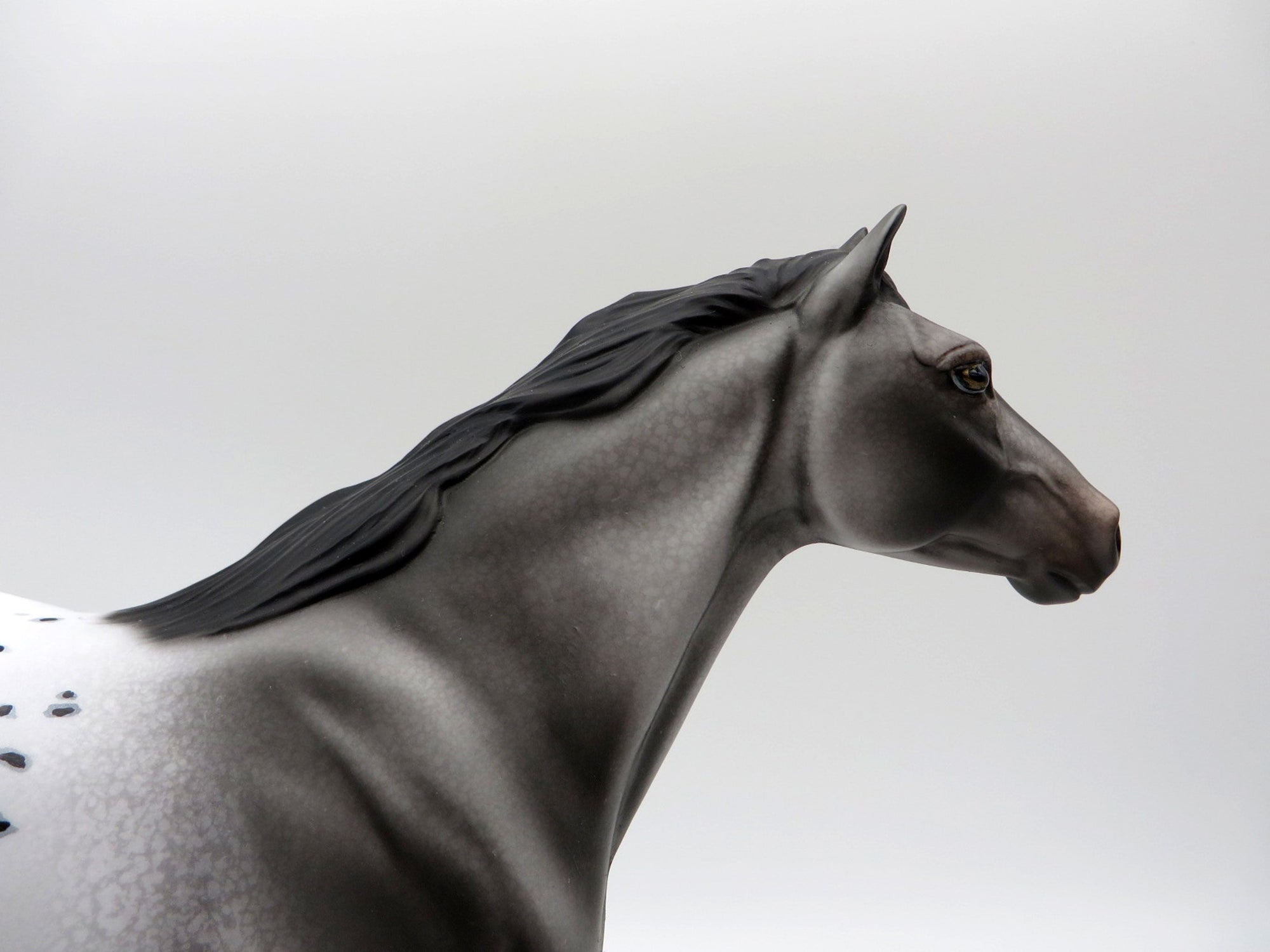 Two Hands-OOAK Appaloosa Mustang Painted By Dawn Quick  5/21/21