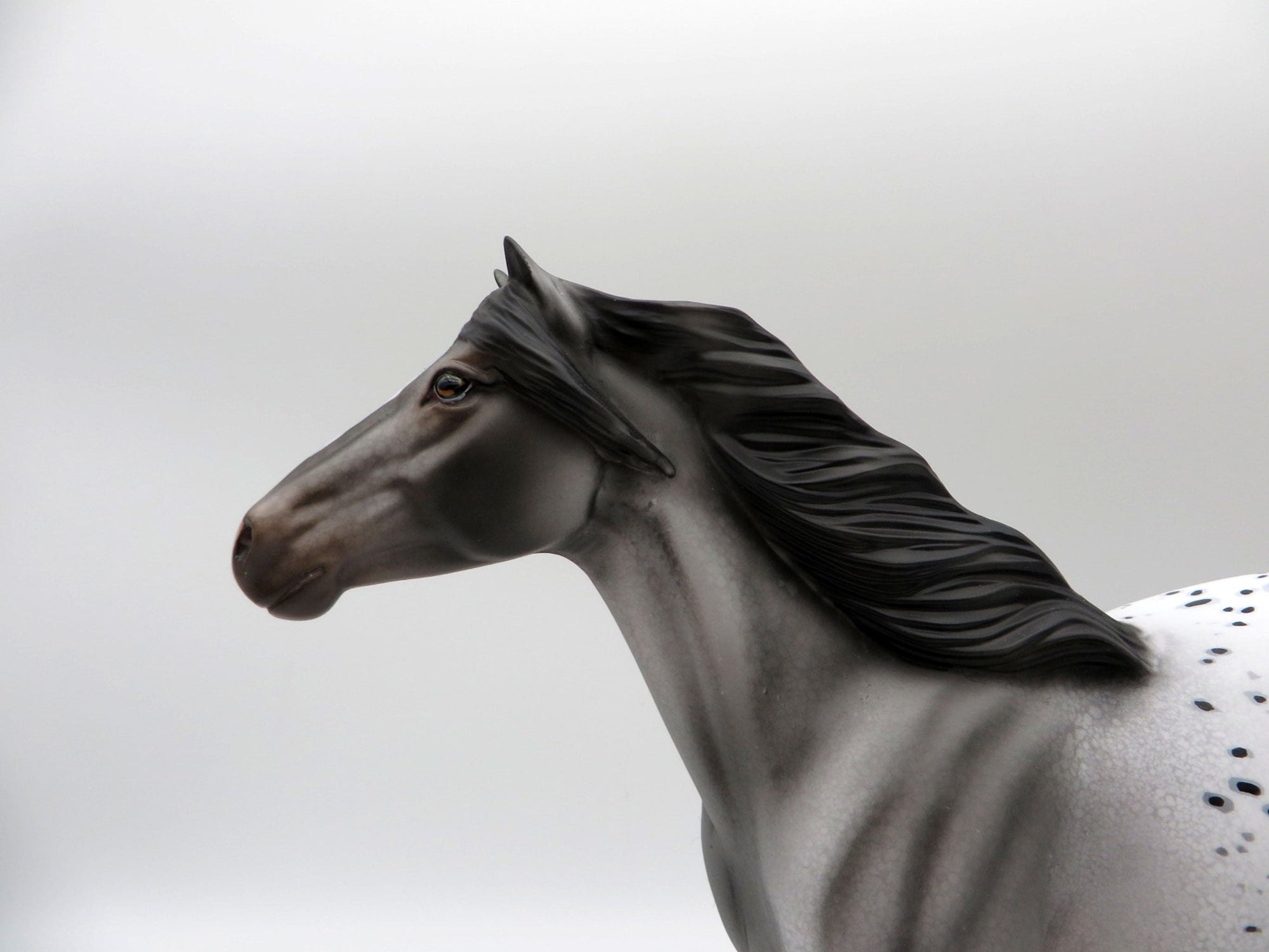 Two Hands-OOAK Appaloosa Mustang Painted By Dawn Quick  5/21/21