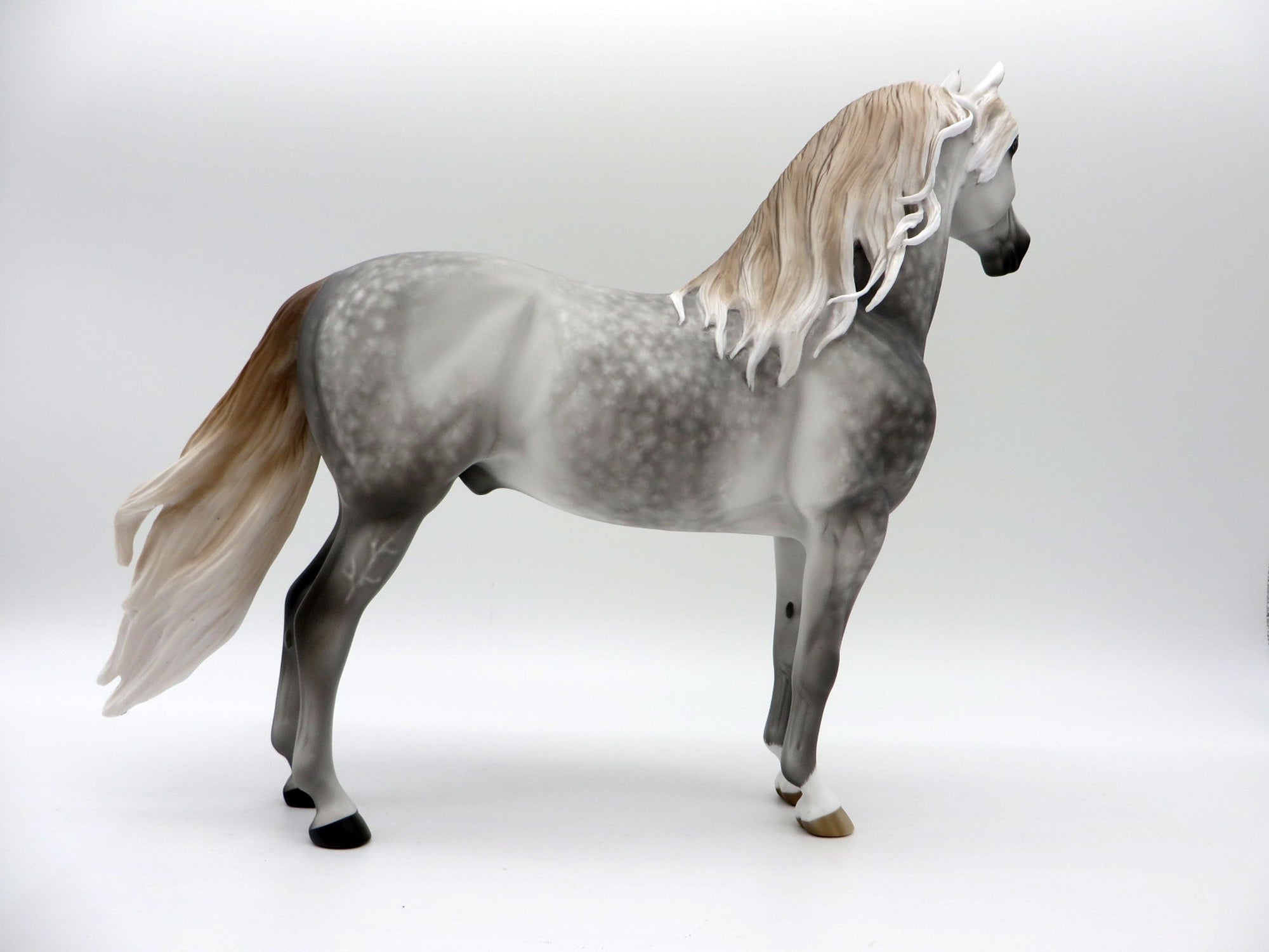 Two Scoops-OOAL Dapple Grey Morgan Painted By Sheryl Leisure 6/14/21