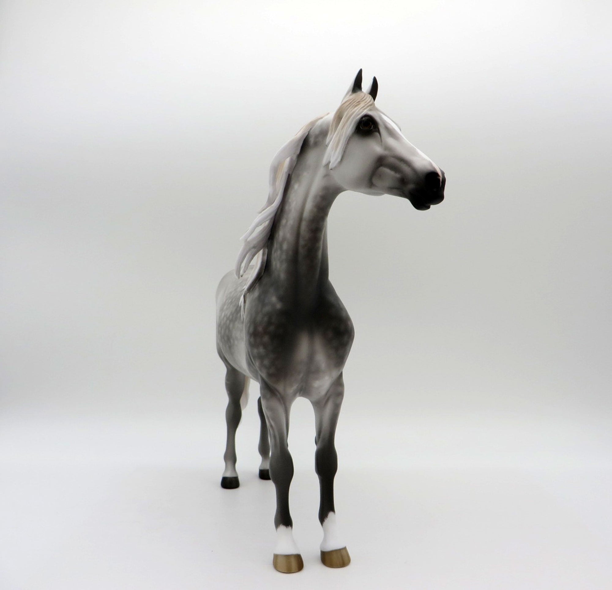 Two Scoops-OOAL Dapple Grey Morgan Painted By Sheryl Leisure 6/14/21