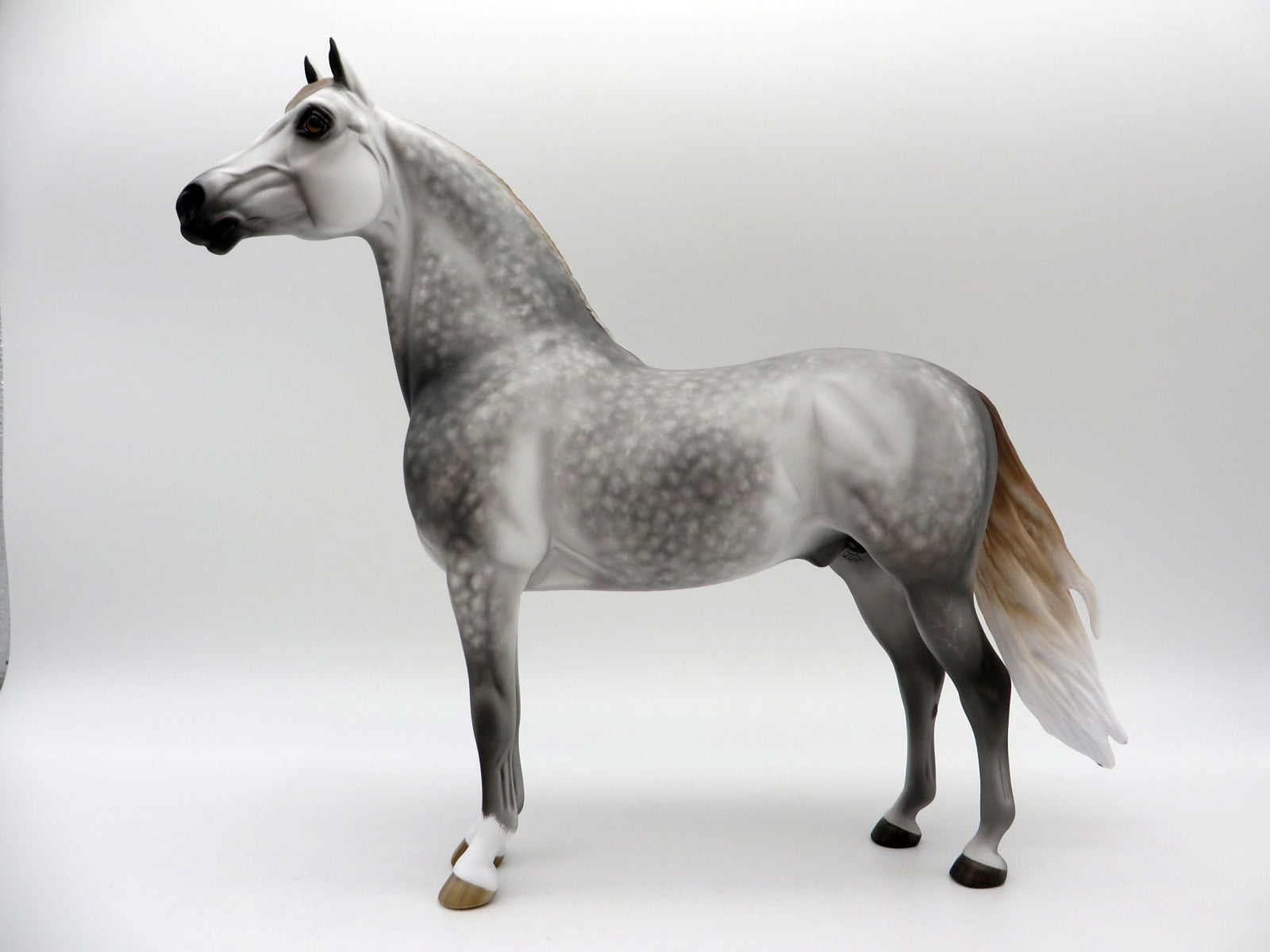 Two Scoops-OOAL Dapple Grey Morgan Painted By Sheryl Leisure 6/14/21