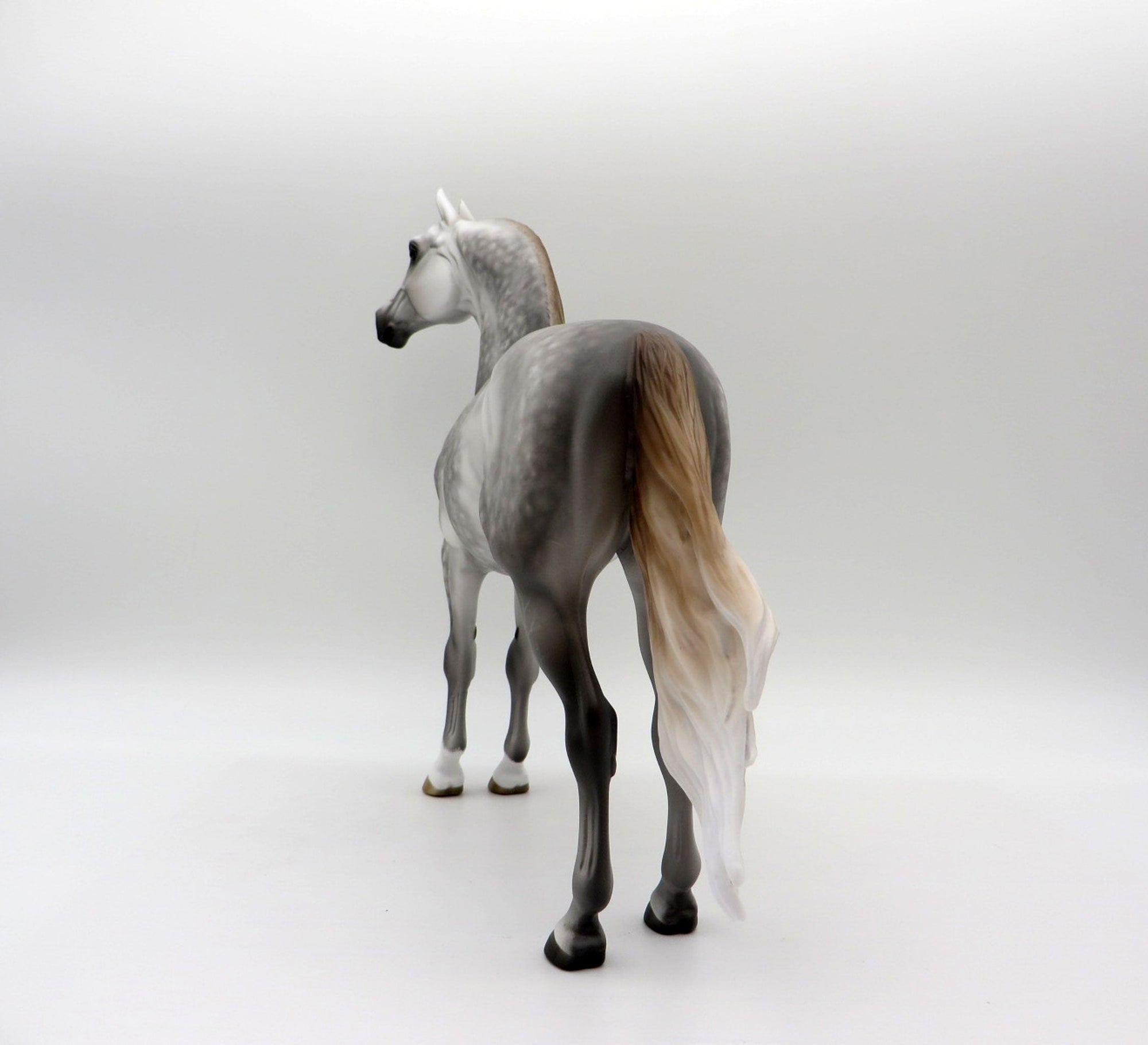 Two Scoops-OOAL Dapple Grey Morgan Painted By Sheryl Leisure 6/14/21