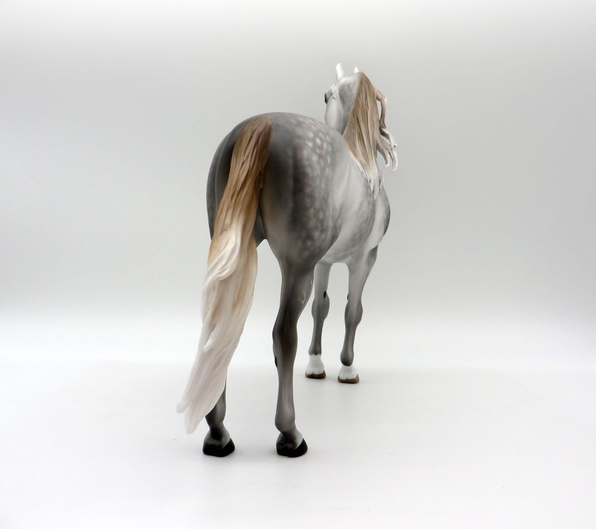 Two Scoops-OOAL Dapple Grey Morgan Painted By Sheryl Leisure 6/14/21