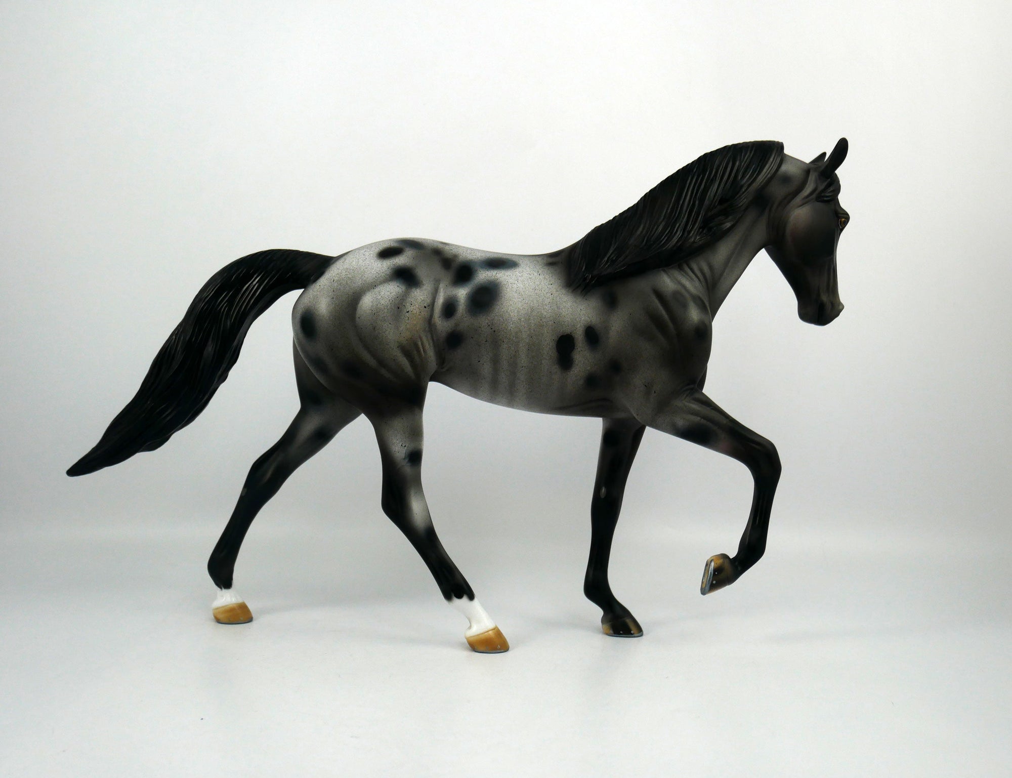 U2-OOAK Appaloosa Tennessee Walking Horse 1/8/21