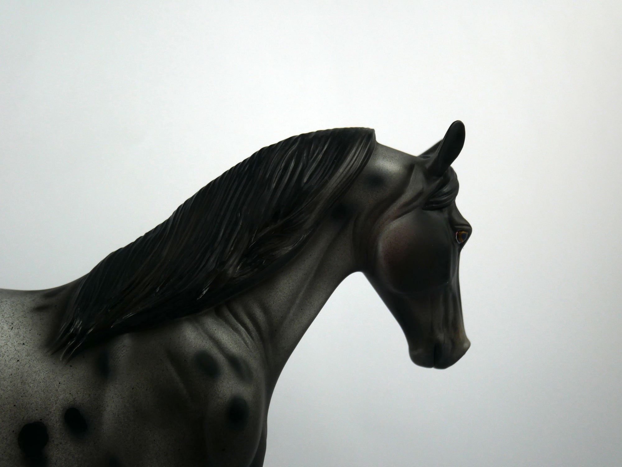 U2-OOAK Appaloosa Tennessee Walking Horse 1/8/21