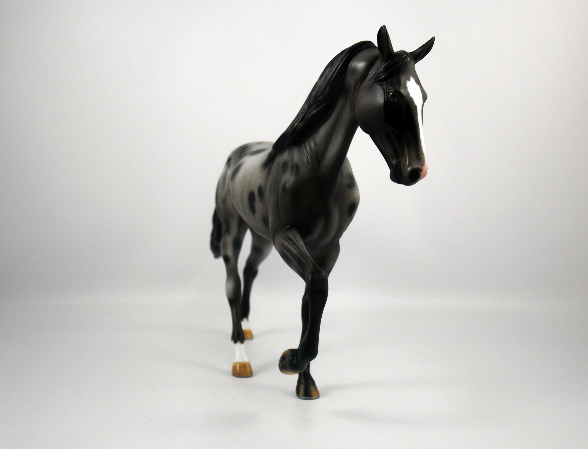 U2-OOAK Appaloosa Tennessee Walking Horse 1/8/21