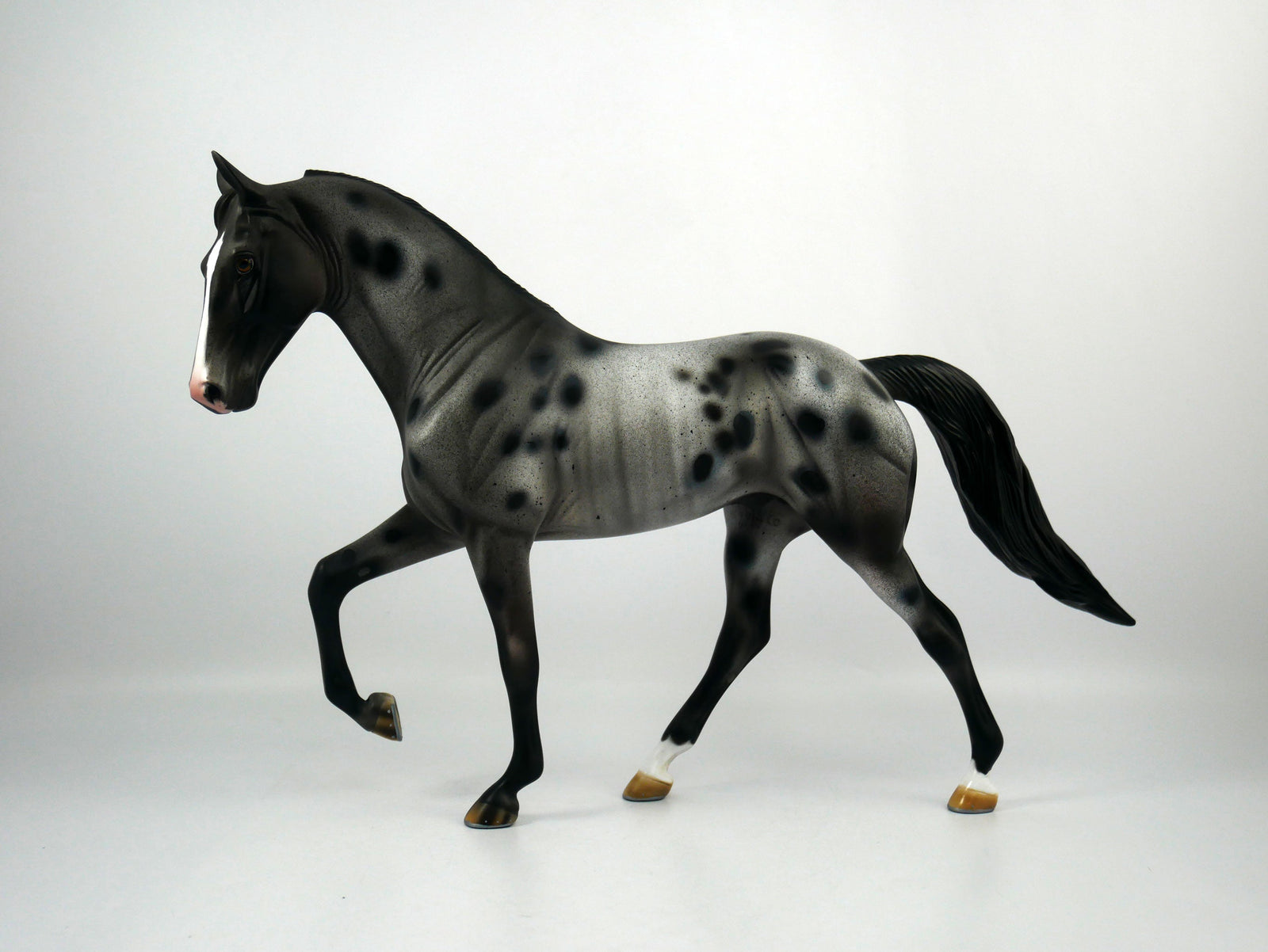 U2-OOAK Appaloosa Tennessee Walking Horse 1/8/21