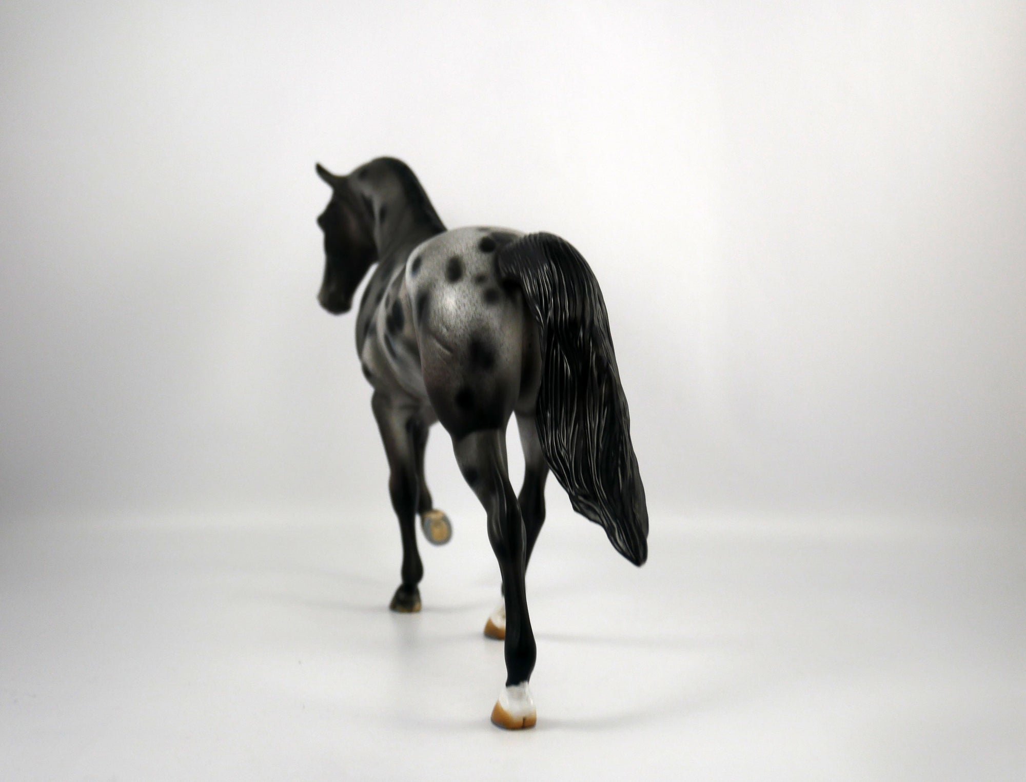 U2-OOAK Appaloosa Tennessee Walking Horse 1/8/21