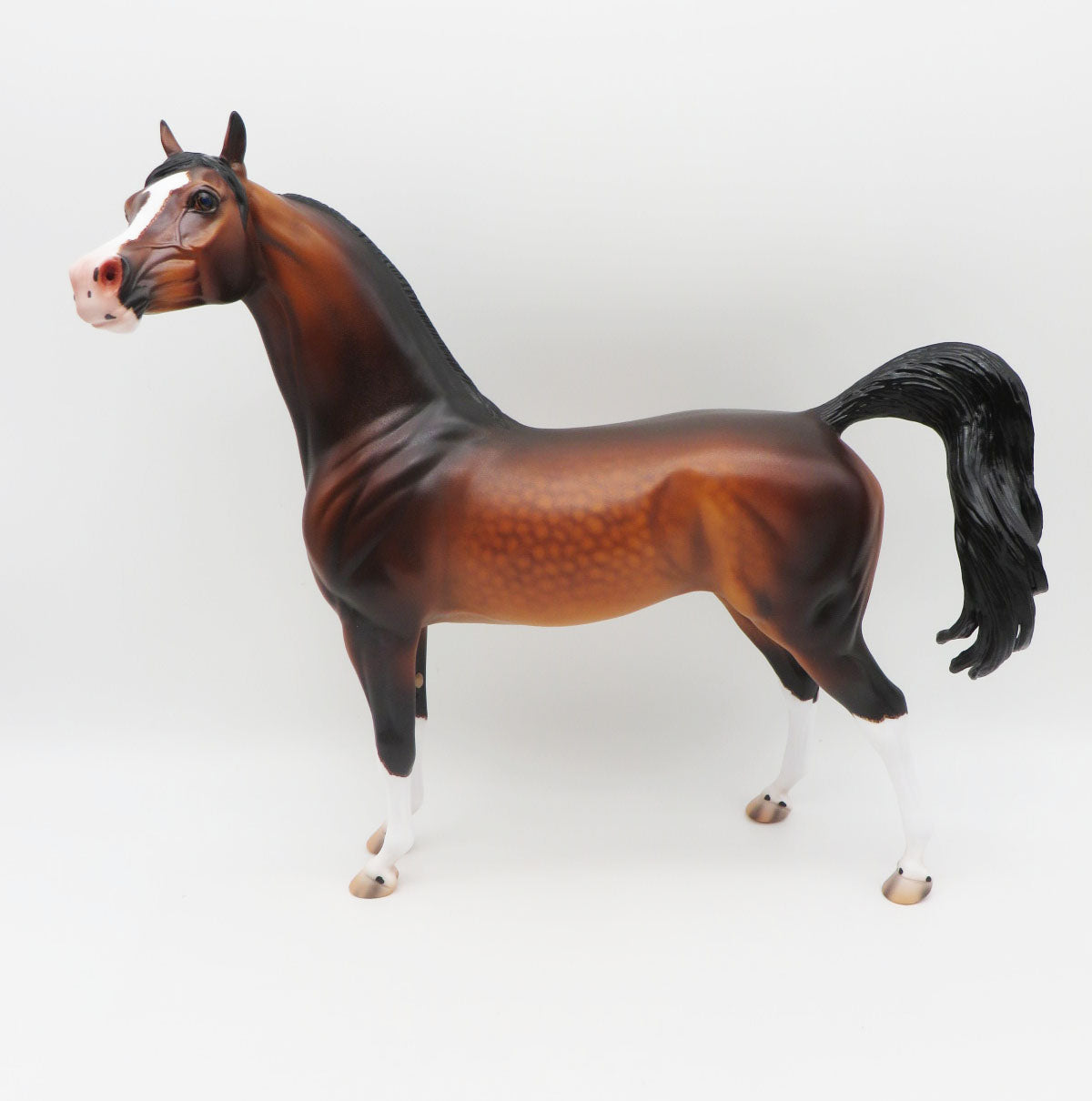 Ulrich - OOAK - Dapple Bay Arabian By Caroline Boydston BEST OFFER 11/07/22