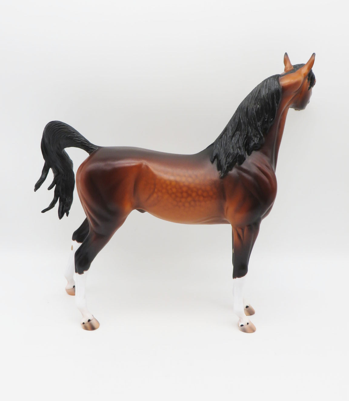 Ulrich - OOAK - Dapple Bay Arabian By Caroline Boydston BEST OFFER 11/07/22