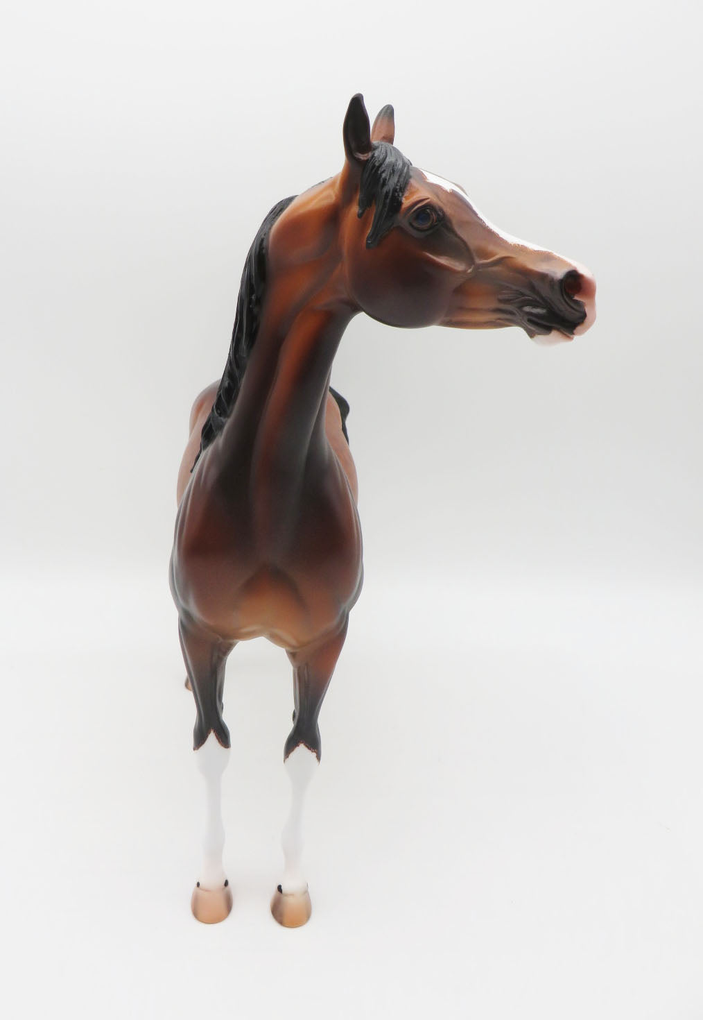 Ulrich - OOAK - Dapple Bay Arabian By Caroline Boydston BEST OFFER 11/07/22