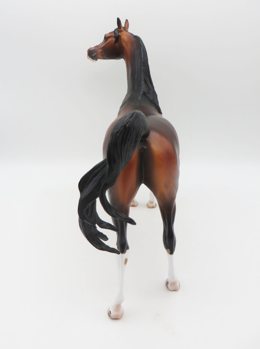 Ulrich - OOAK - Dapple Bay Arabian By Caroline Boydston BEST OFFER 11/07/22