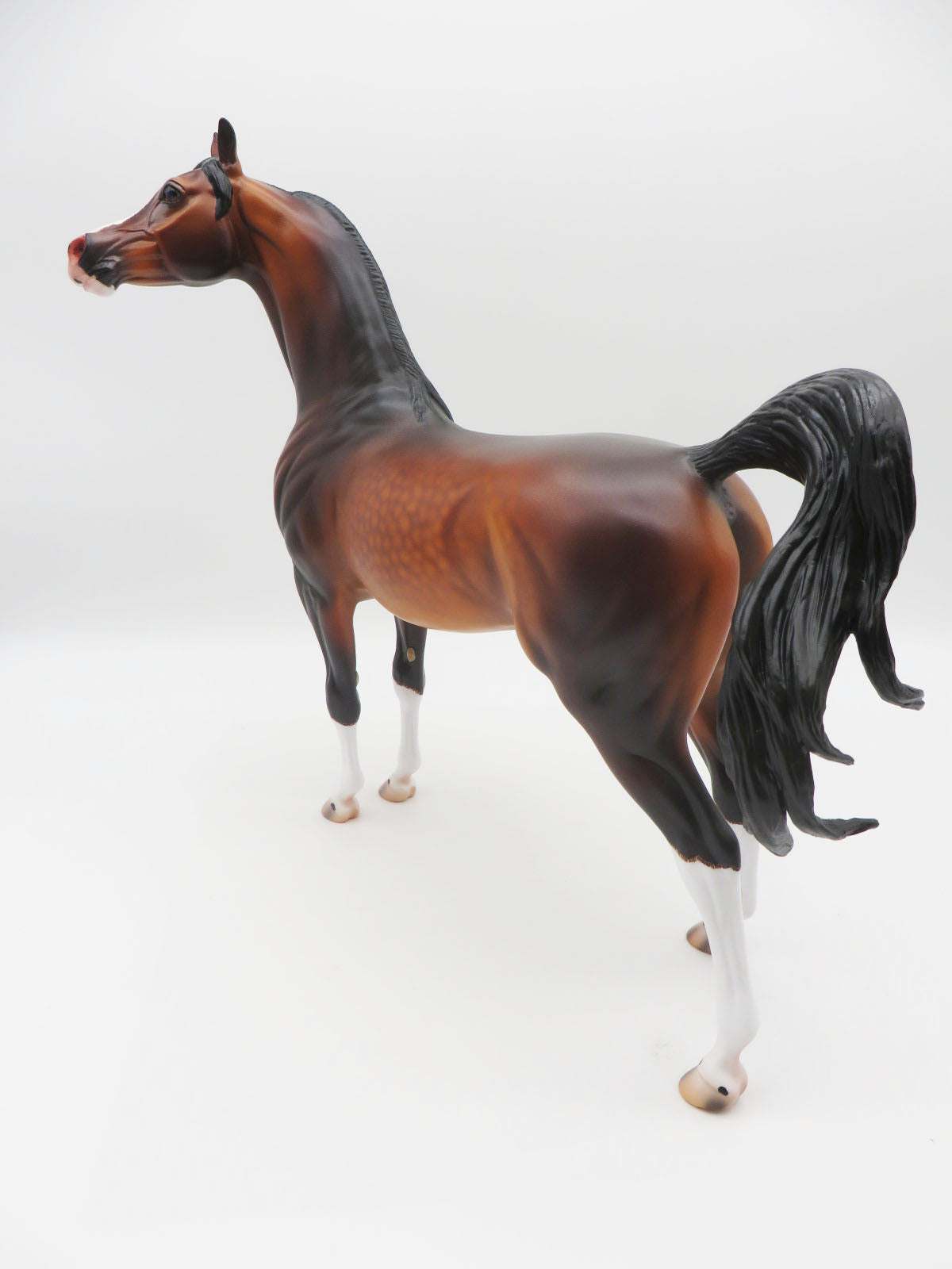 Ulrich - OOAK - Dapple Bay Arabian By Caroline Boydston BEST OFFER 11/07/22