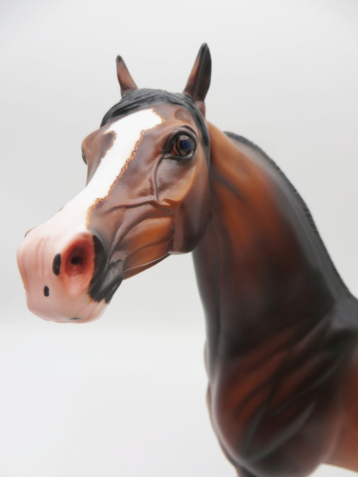 Ulrich - OOAK - Dapple Bay Arabian By Caroline Boydston BEST OFFER 11/07/22