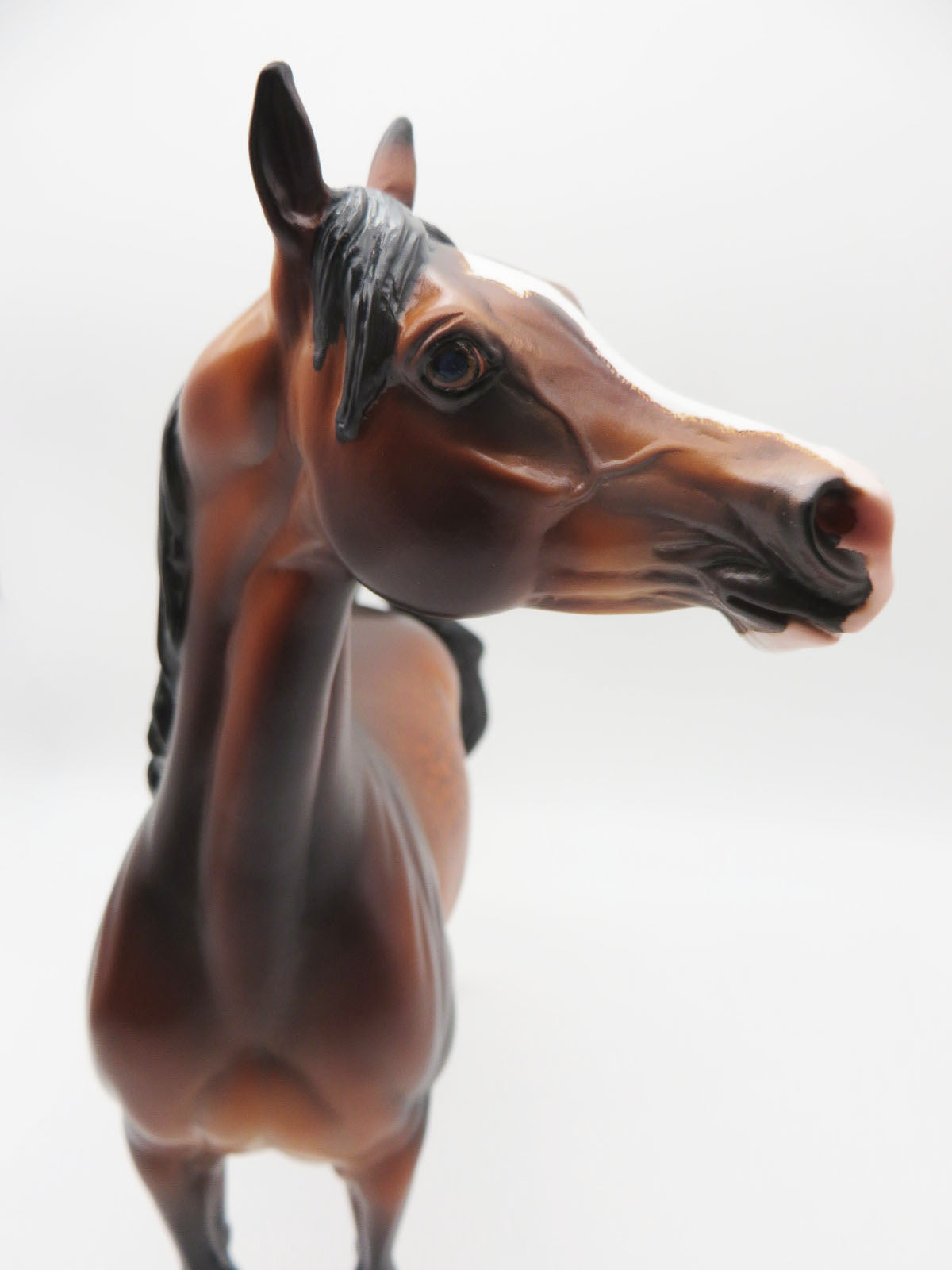 Ulrich - OOAK - Dapple Bay Arabian By Caroline Boydston BEST OFFER 11/07/22