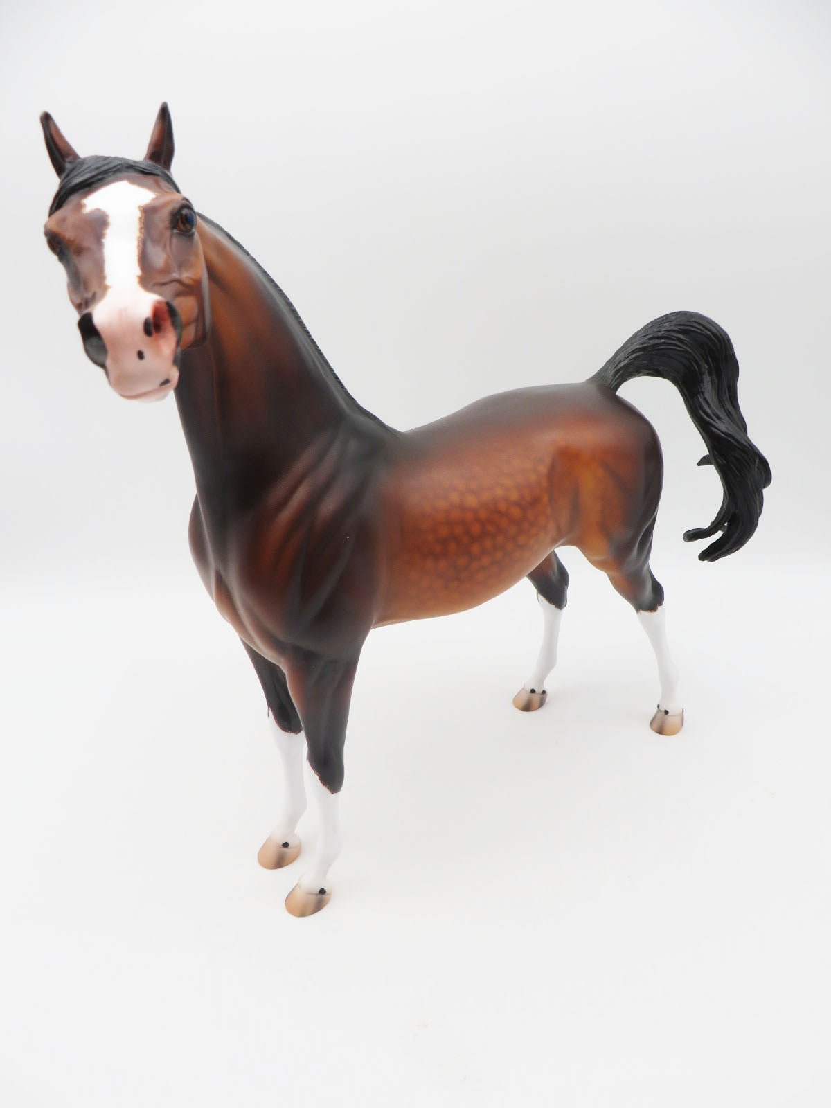 Ulrich - OOAK - Dapple Bay Arabian By Caroline Boydston BEST OFFER 11/07/22