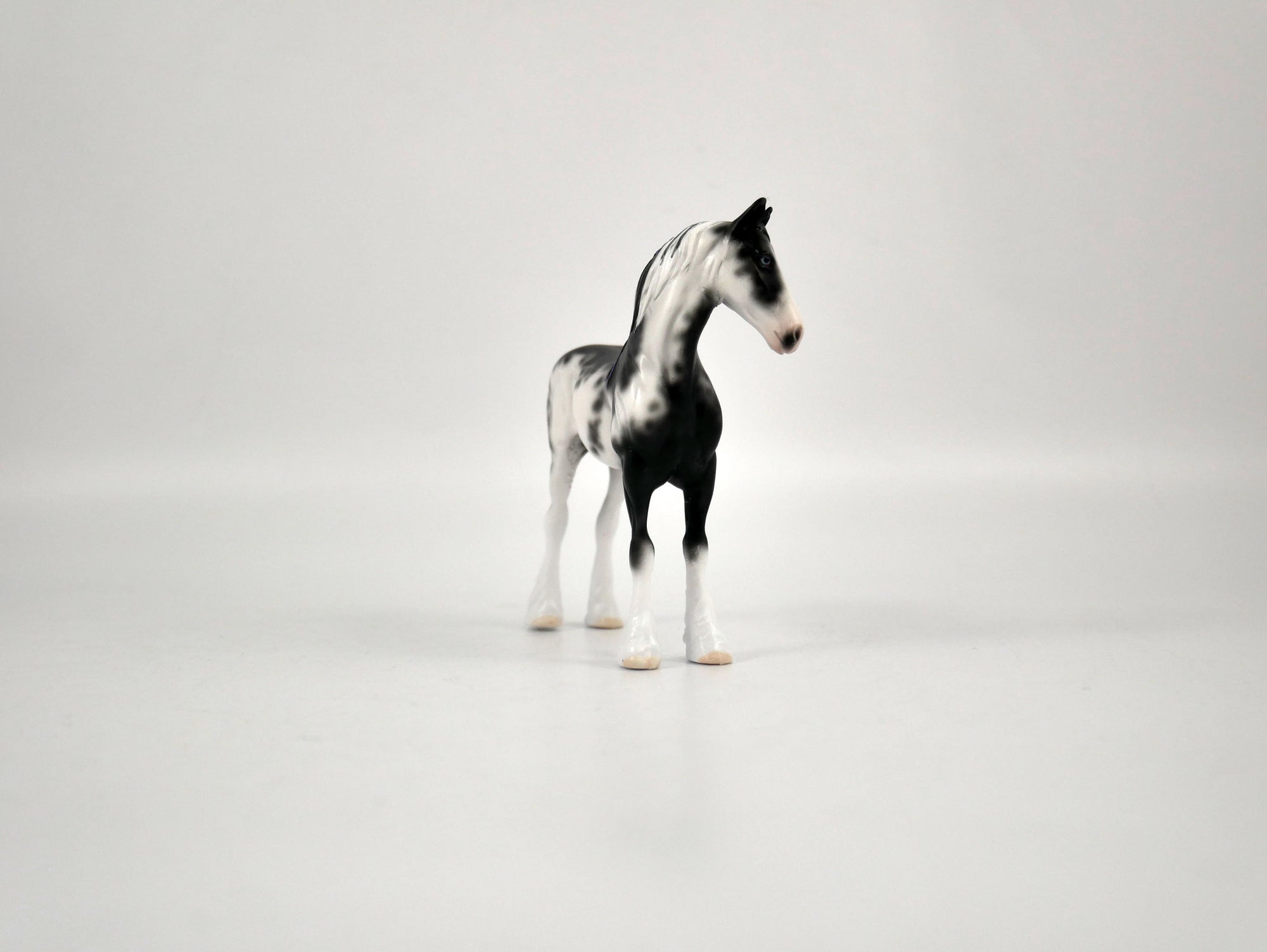 Ulysses-OOAK Sabino Draft  Chip Painted By Sheryl Leisure 12/30/20