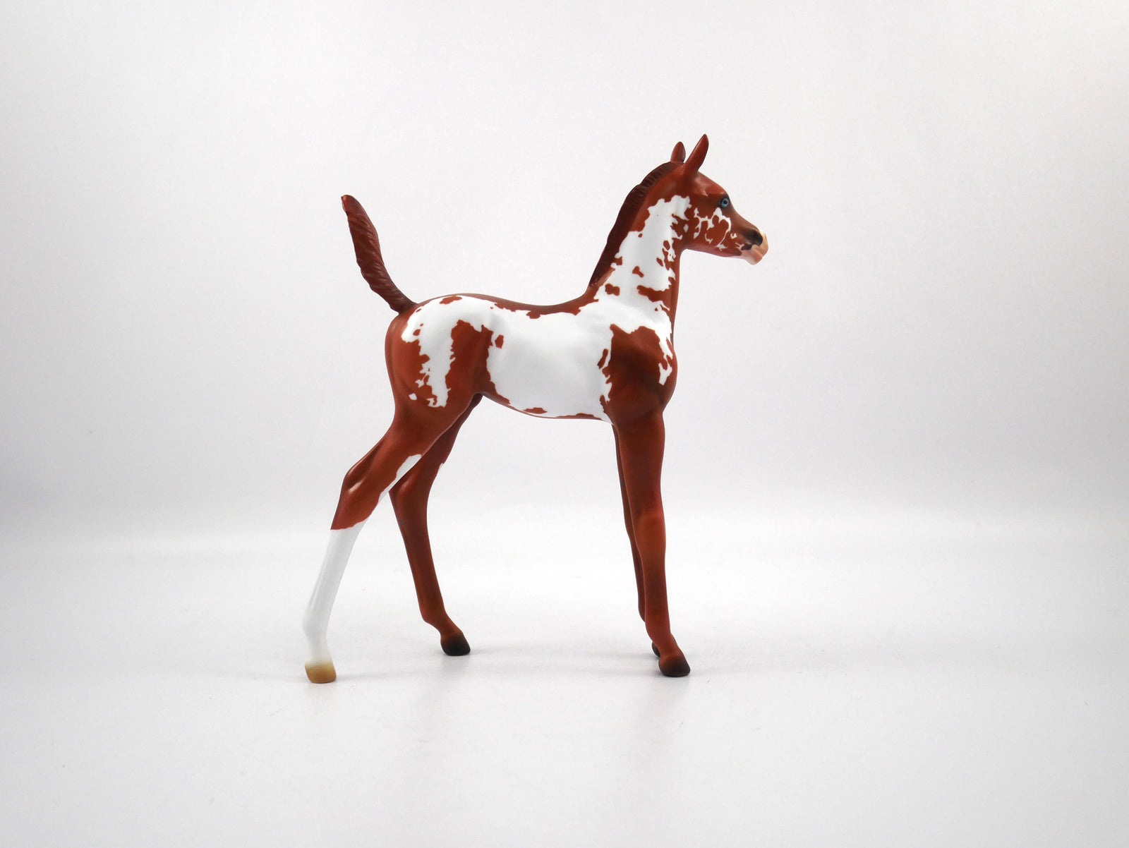 Unsung Hero-LE-7 Chestnut Paint Foal SB21