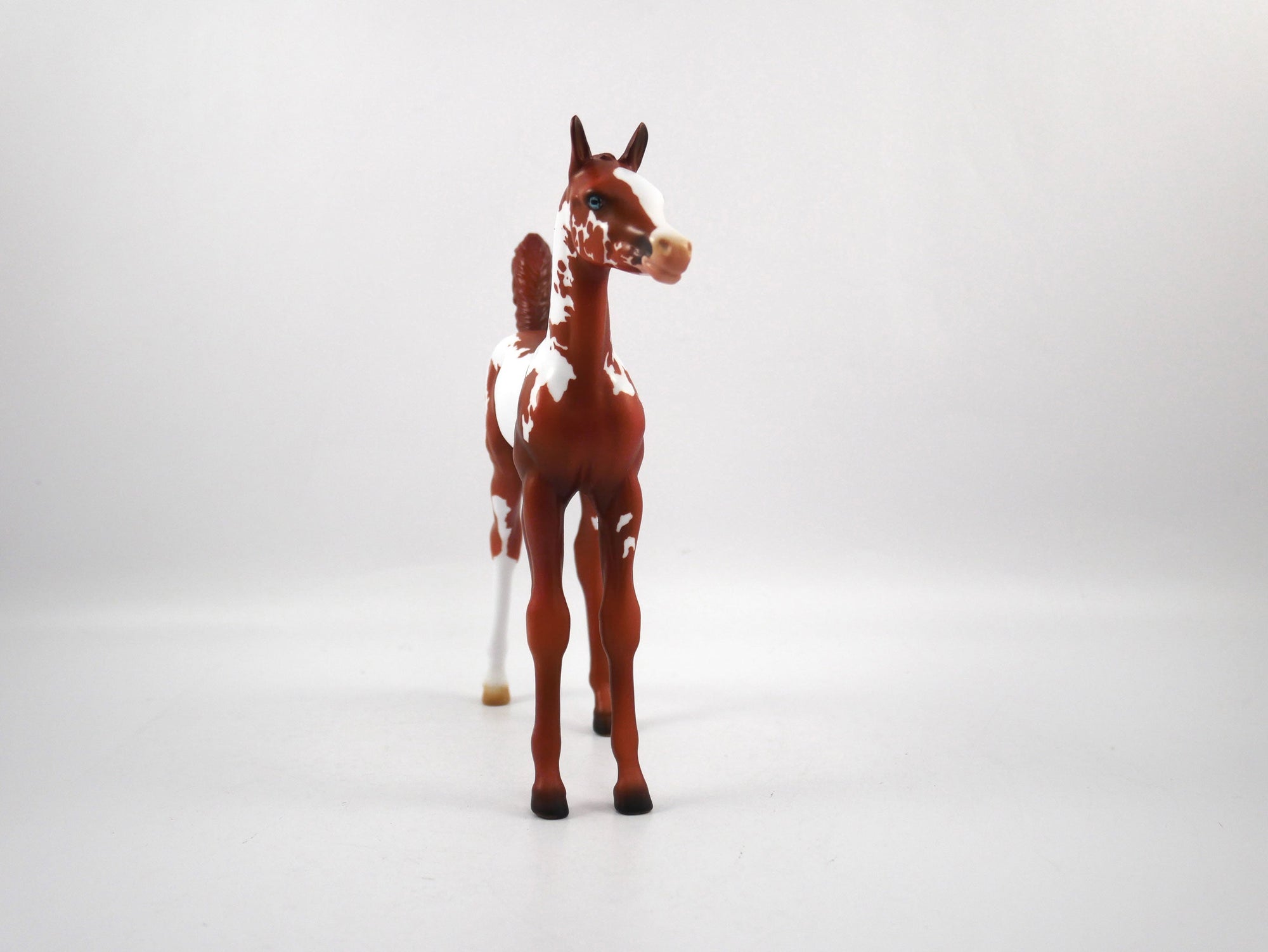 Unsung Hero-LE-7 Chestnut Paint Foal SB21