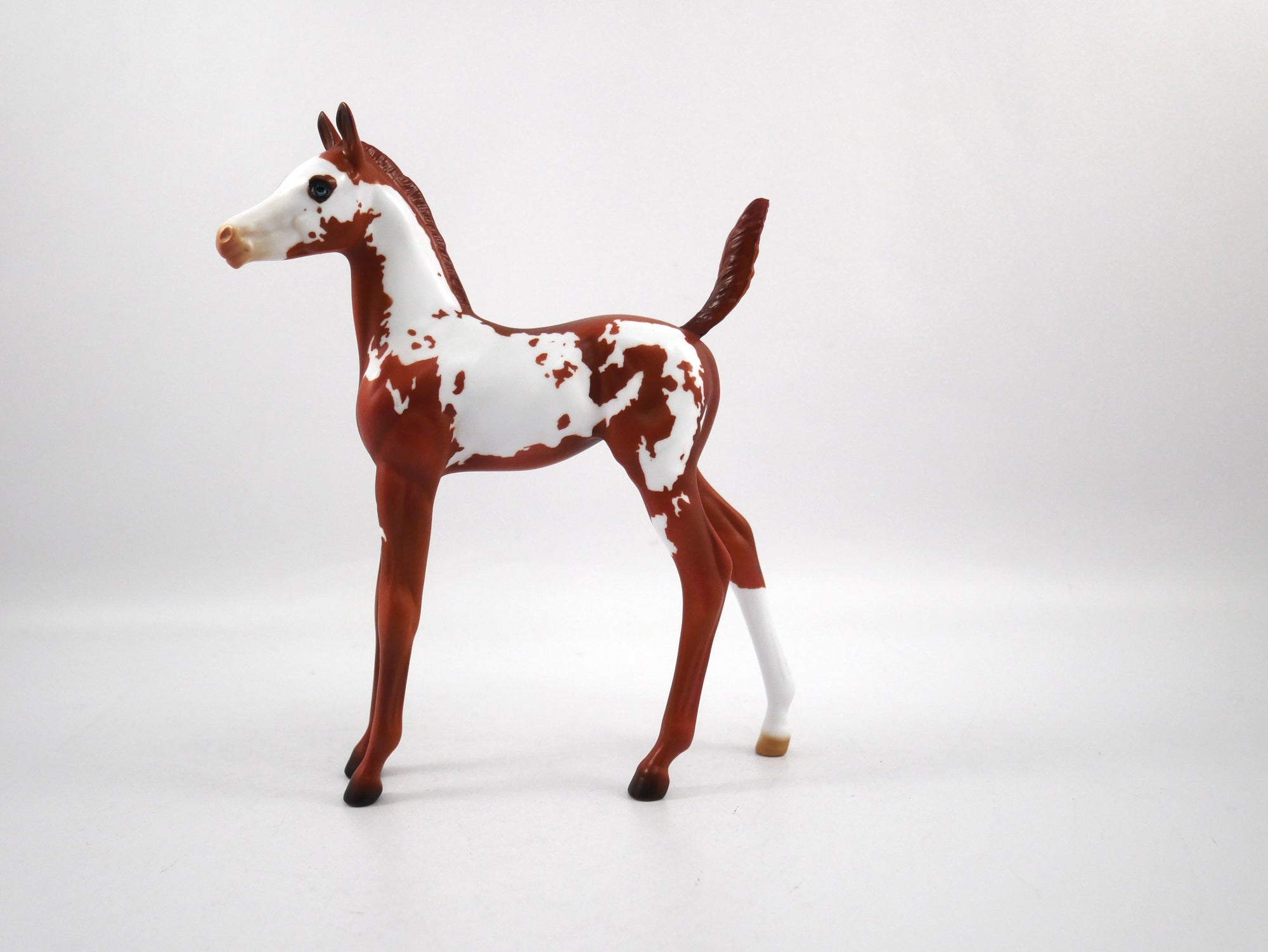 Unsung Hero-LE-7 Chestnut Paint Foal SB21