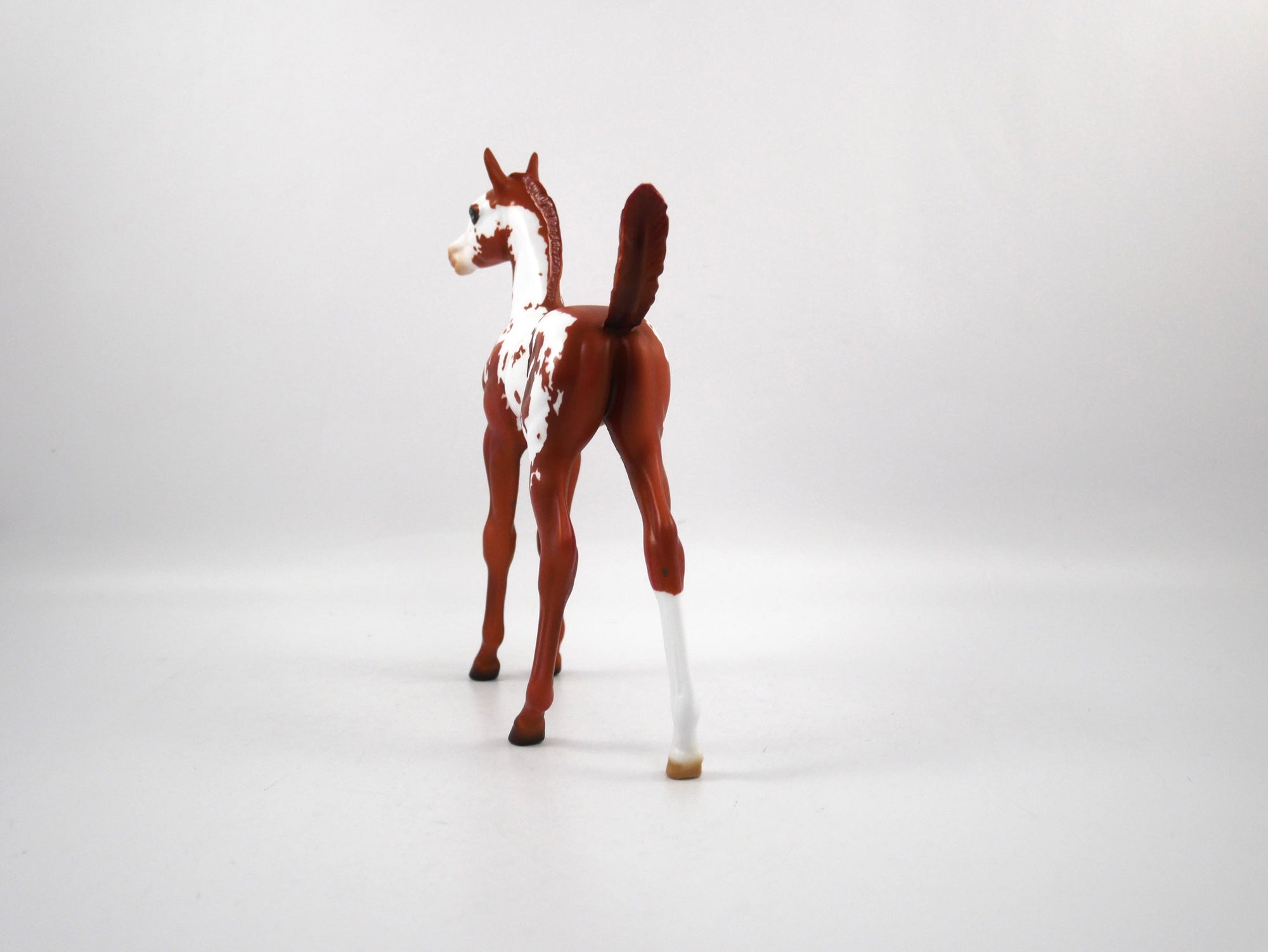 Unsung Hero-LE-7 Chestnut Paint Foal SB21