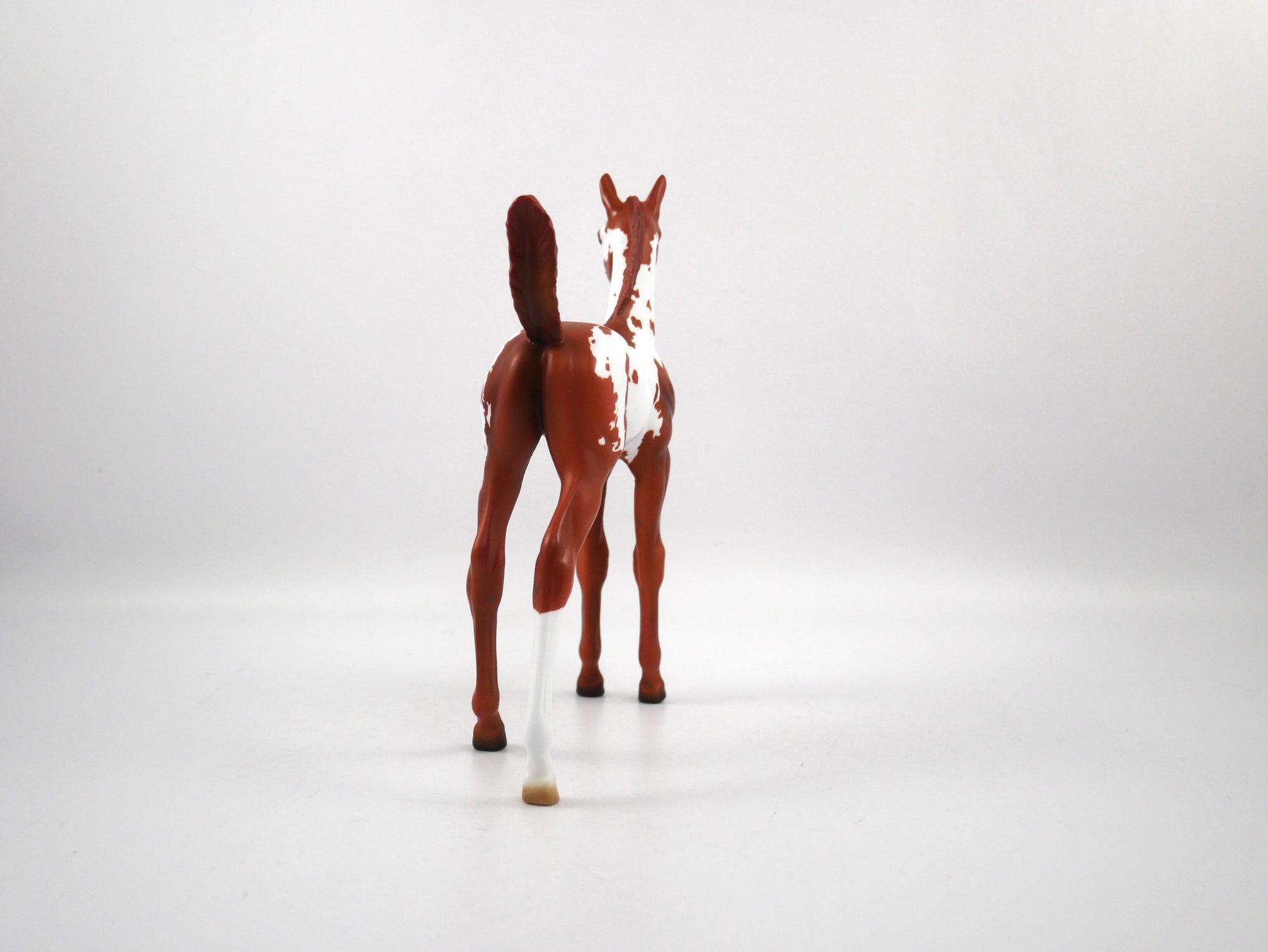 Unsung Hero-LE-7 Chestnut Paint Foal SB21