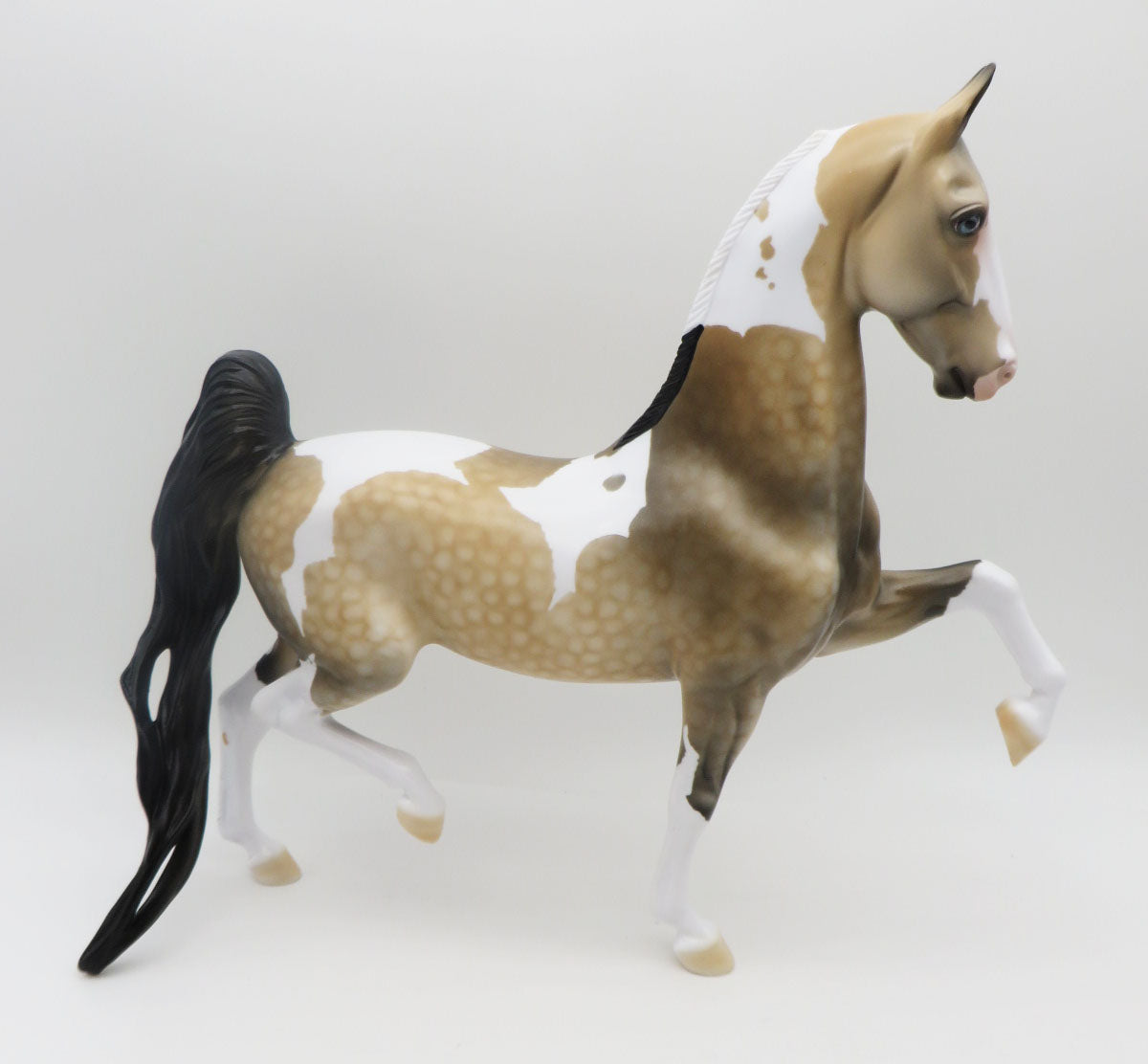 VALENTNO-LE-2 Buckskin Pinto Saddlebred  By Dawn Quick P&C 23