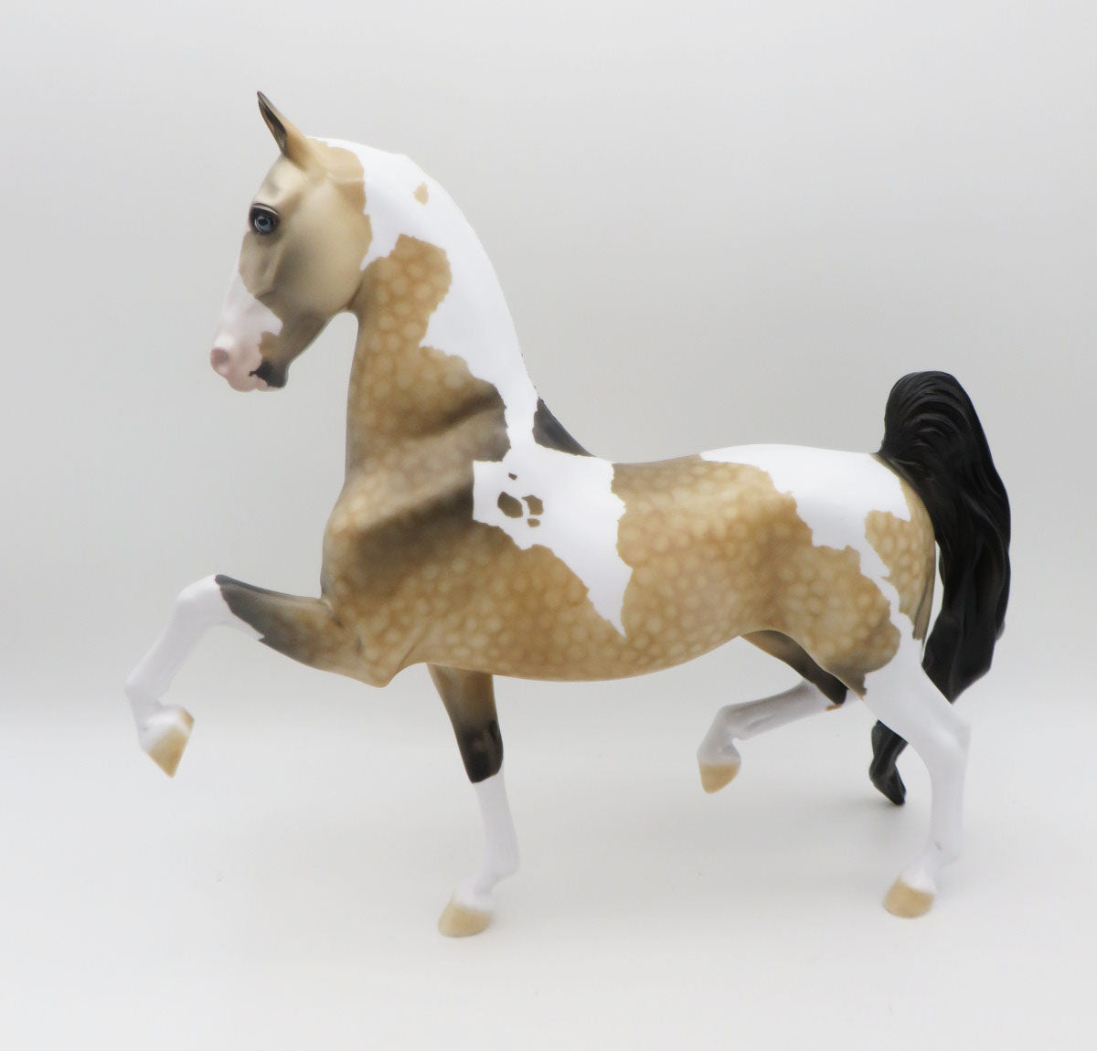 VALENTNO-LE-2 Buckskin Pinto Saddlebred  By Dawn Quick P&amp;C 23