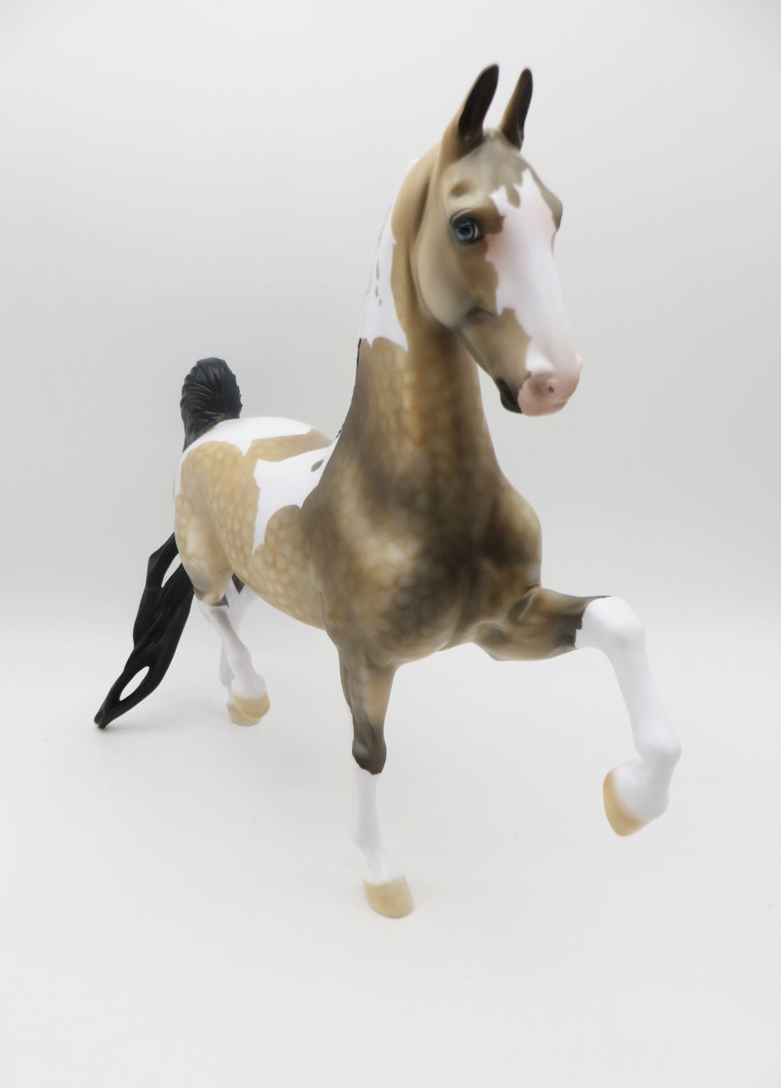 VALENTNO-LE-2 Buckskin Pinto Saddlebred  By Dawn Quick P&amp;C 23