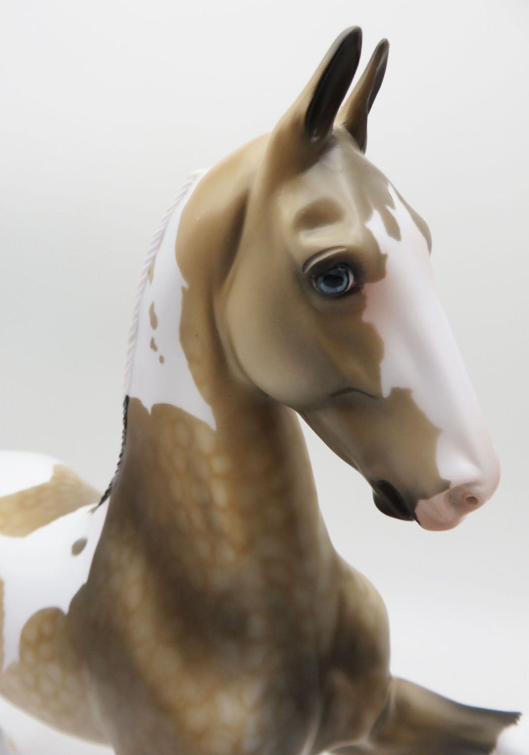 VALENTNO-LE-2 Buckskin Pinto Saddlebred  By Dawn Quick P&amp;C 23