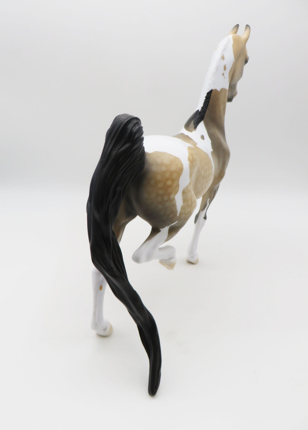 VALENTNO-LE-2 Buckskin Pinto Saddlebred  By Dawn Quick P&amp;C 23