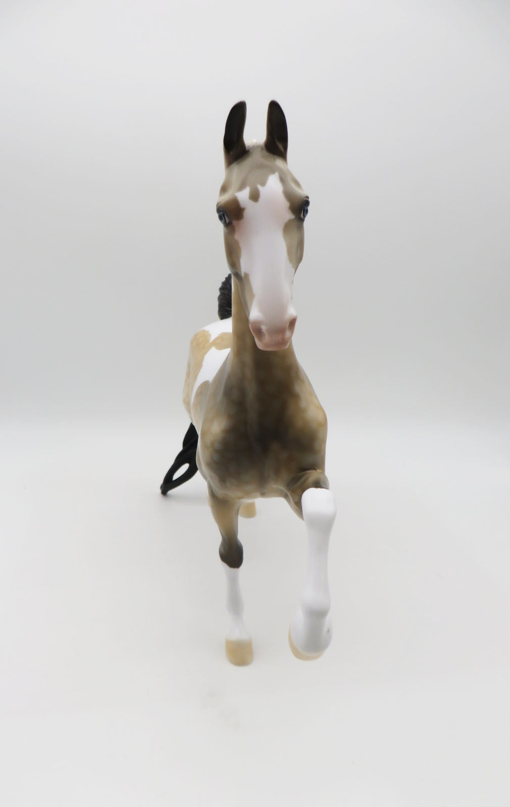 VALENTNO-LE-2 Buckskin Pinto Saddlebred  By Dawn Quick P&amp;C 23