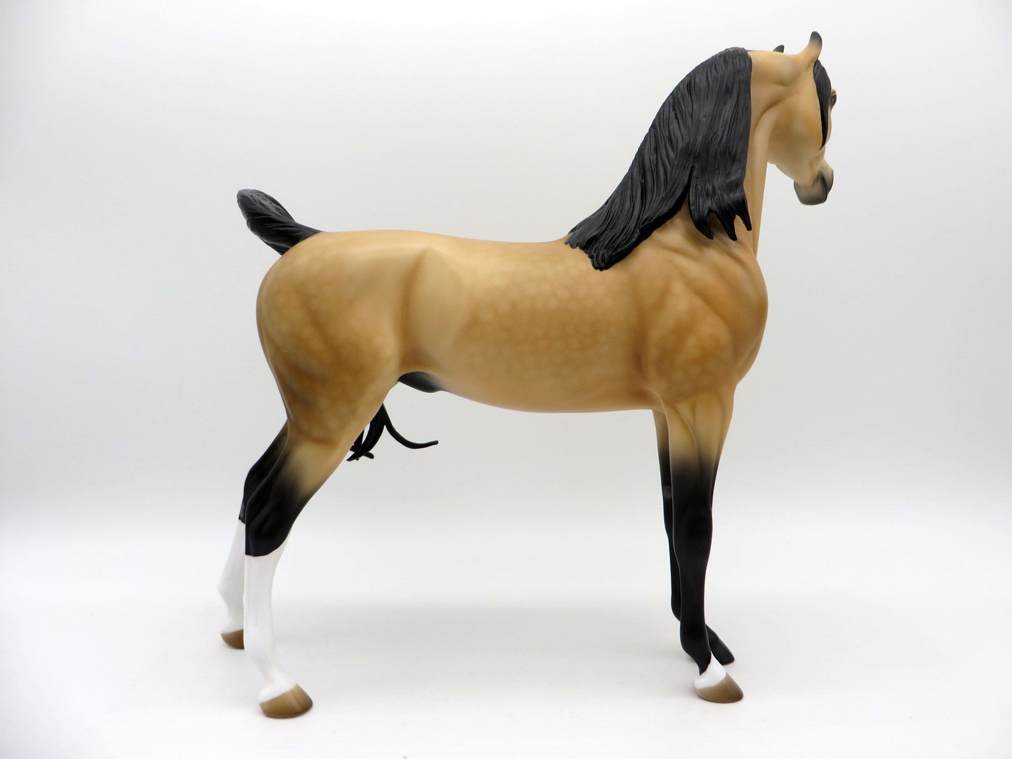 Valspar-OOAK Dapple Buckskin Arabian Equilocity 2021 Painted by Audrey Dixon