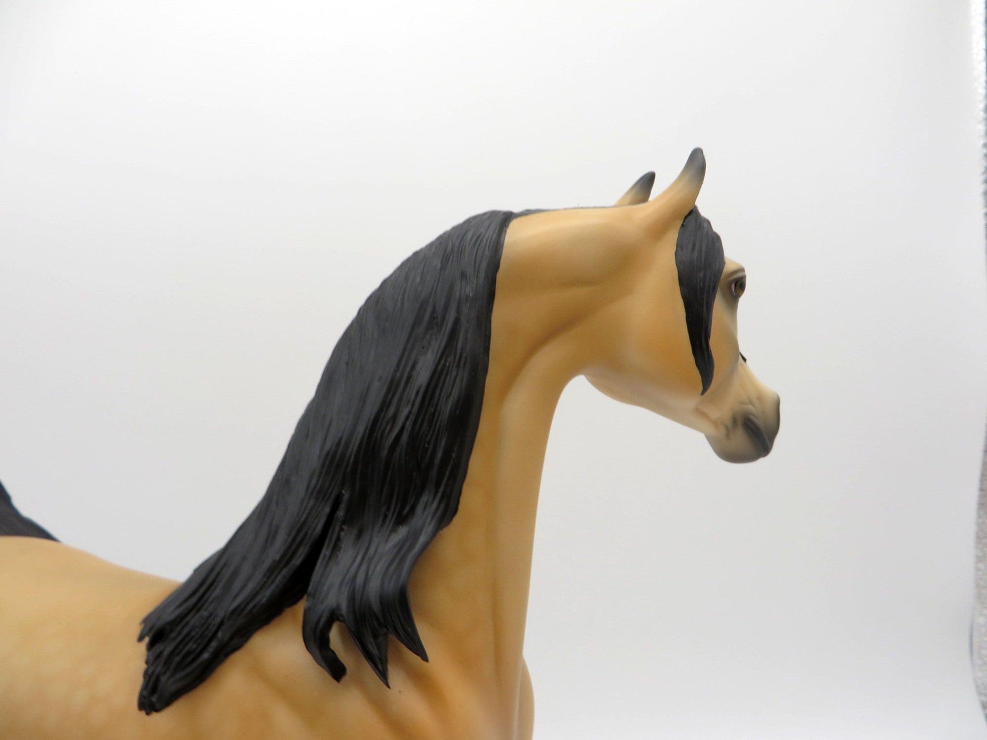 Valspar-OOAK Dapple Buckskin Arabian Equilocity 2021 Painted by Audrey Dixon