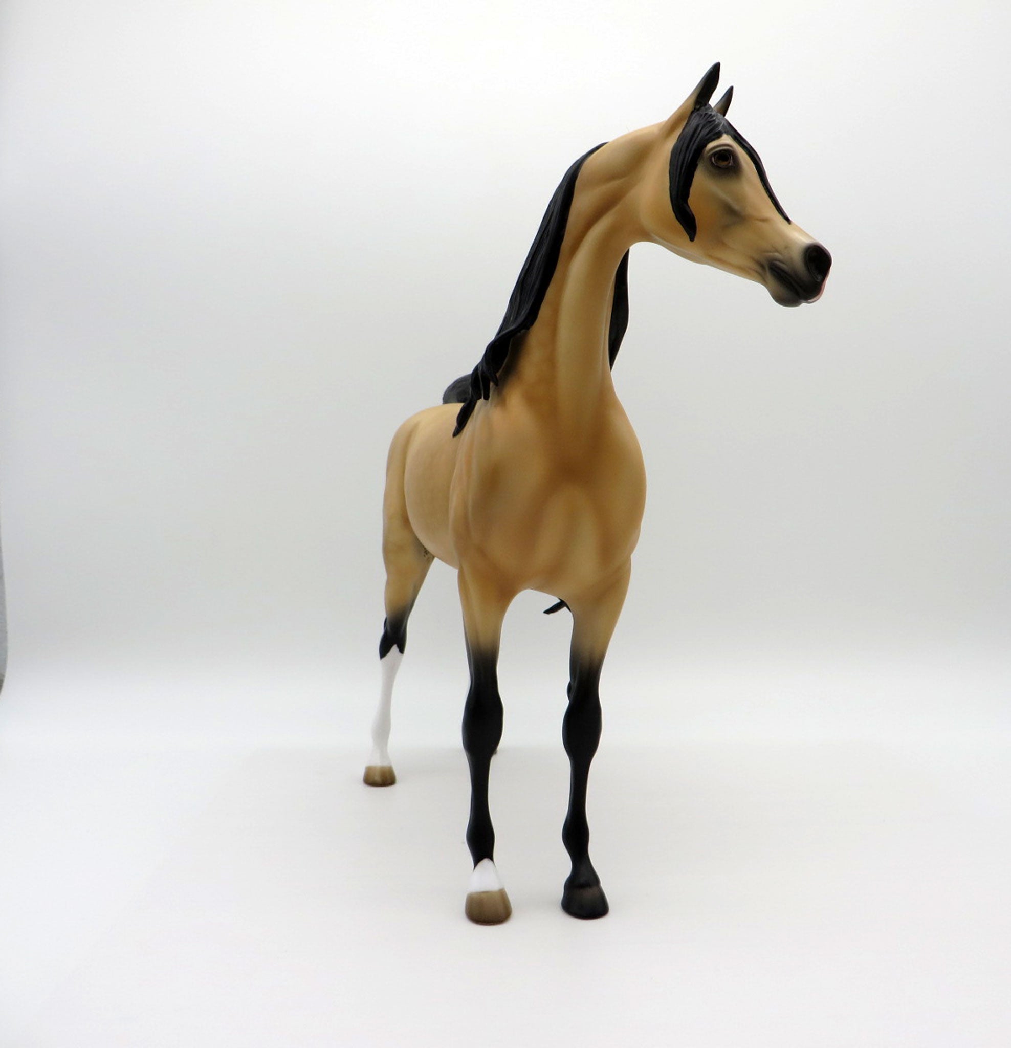 Valspar-OOAK Dapple Buckskin Arabian Equilocity 2021 Painted by Audrey Dixon