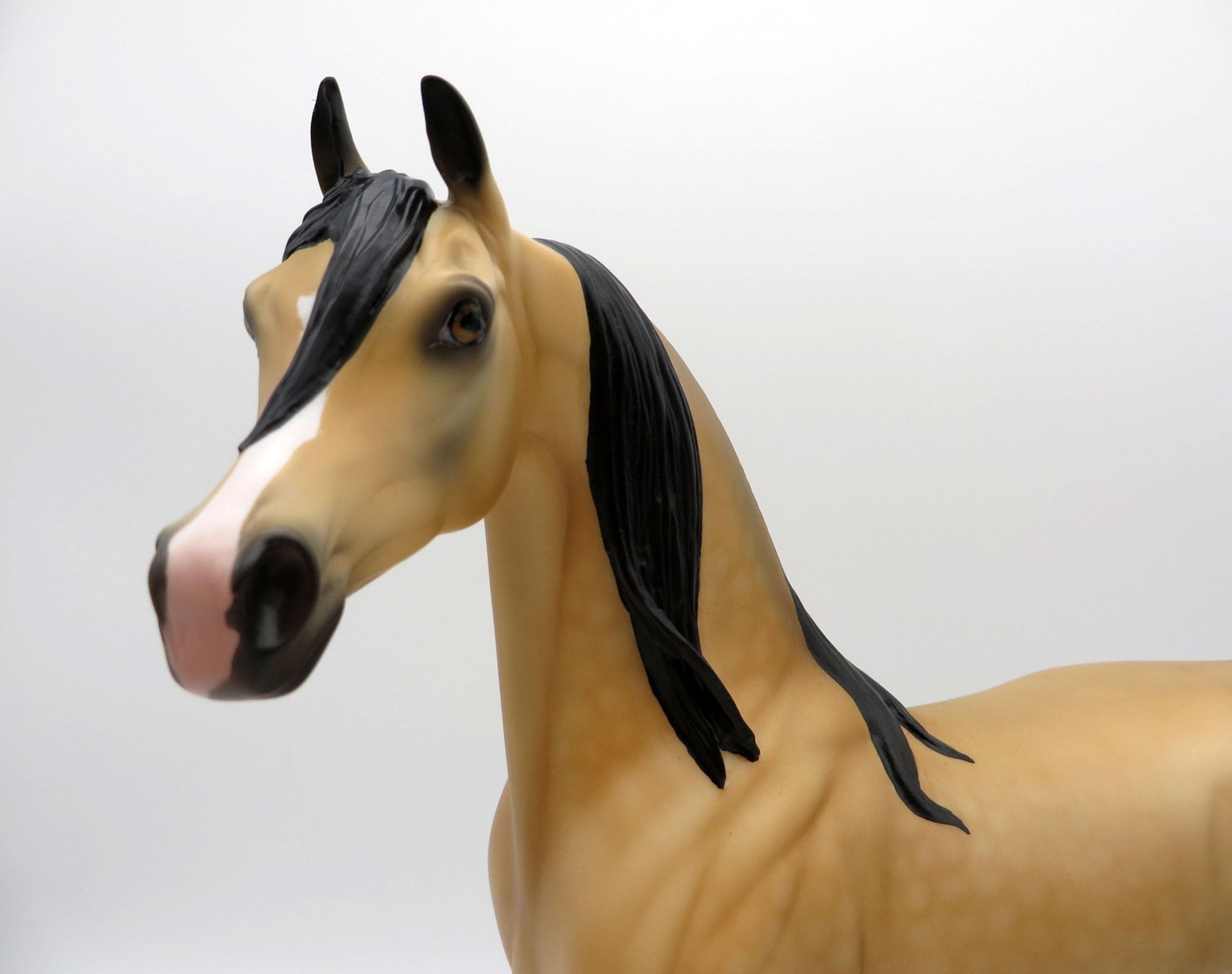 Valspar-OOAK Dapple Buckskin Arabian Equilocity 2021 Painted by Audrey Dixon