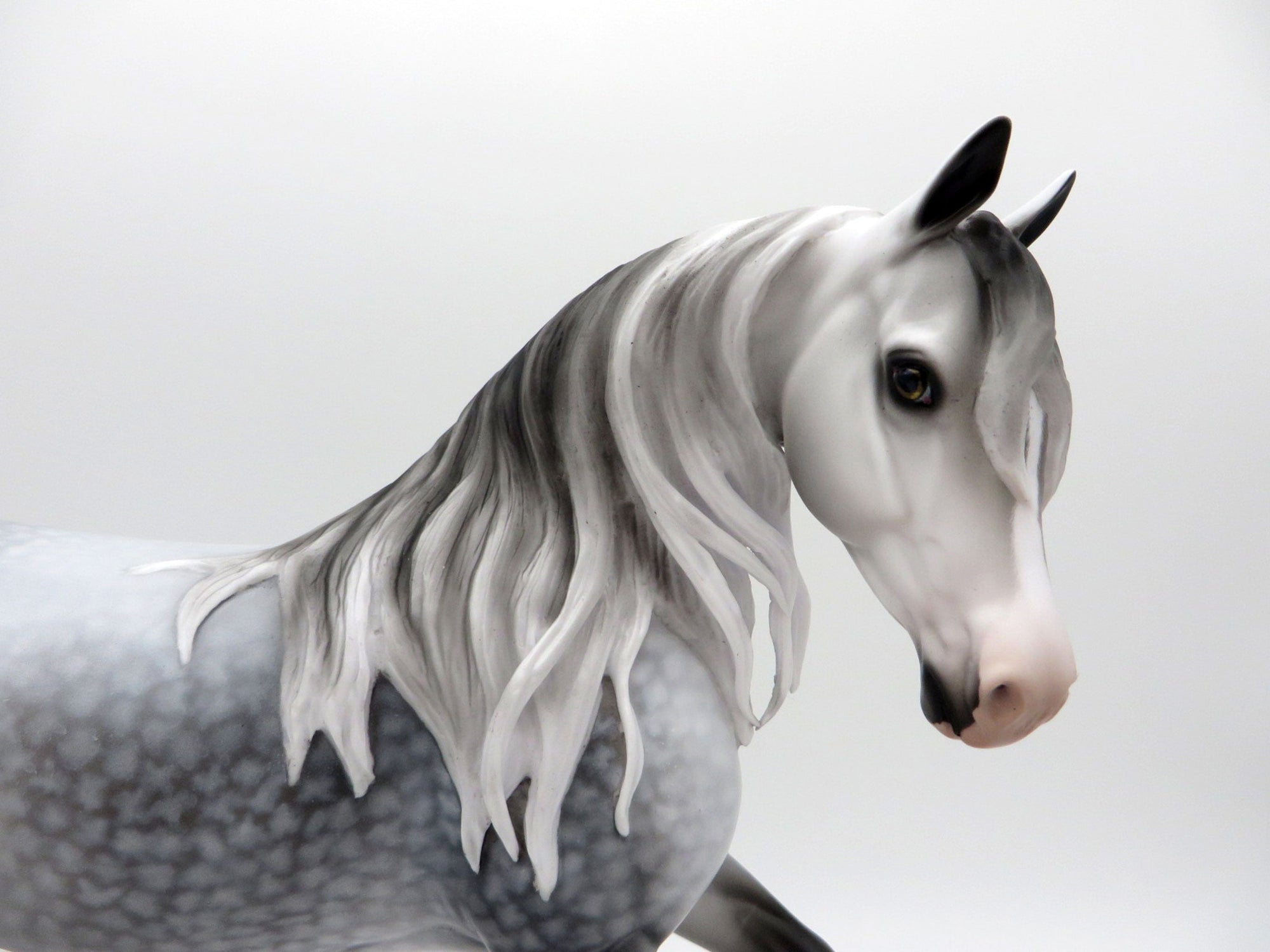 Van Eyck- OOAK Dapple Grey Arabian Mare Painted By Audrey Dixon EQ 21