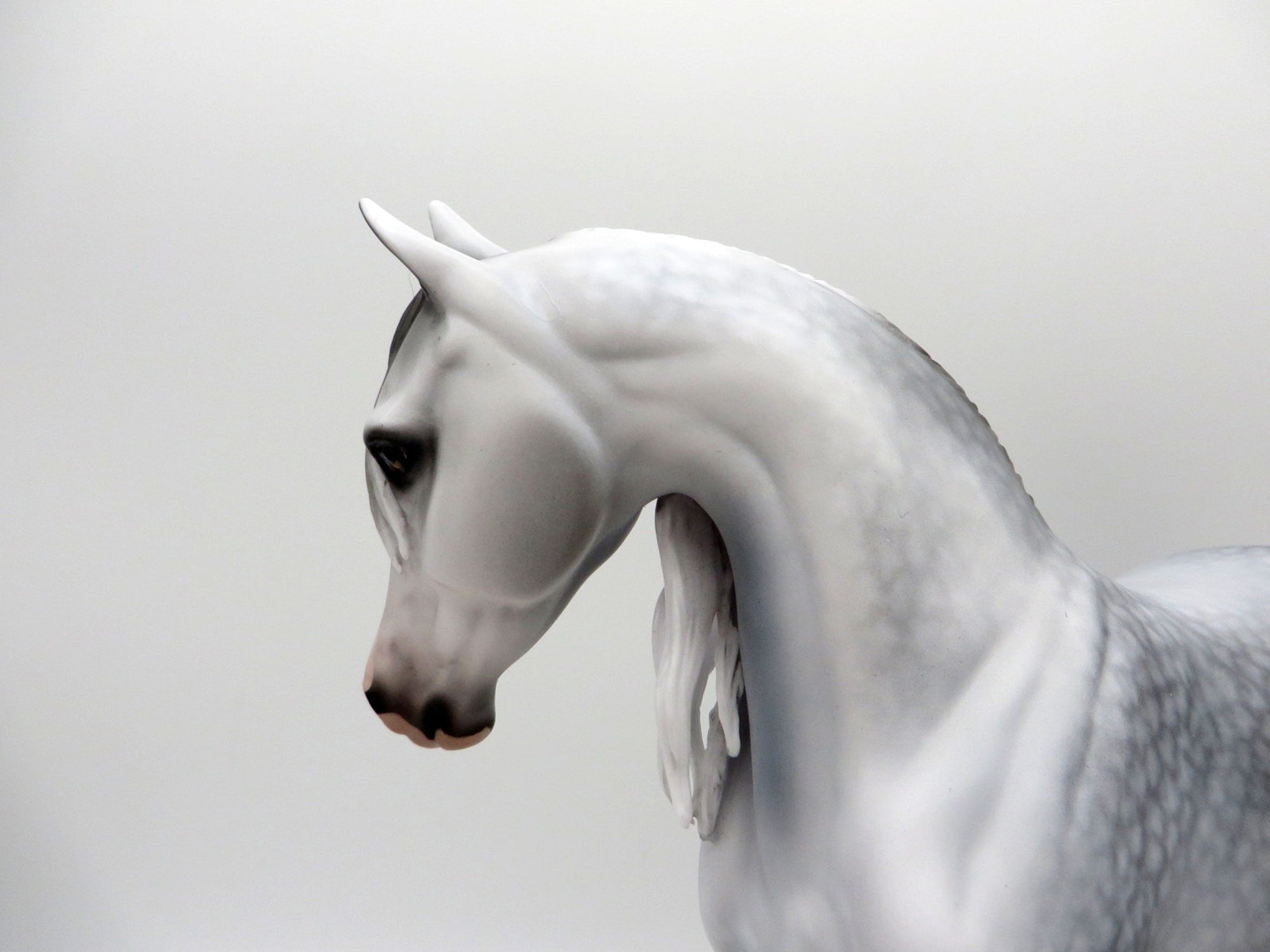 Van Eyck- OOAK Dapple Grey Arabian Mare Painted By Audrey Dixon EQ 21