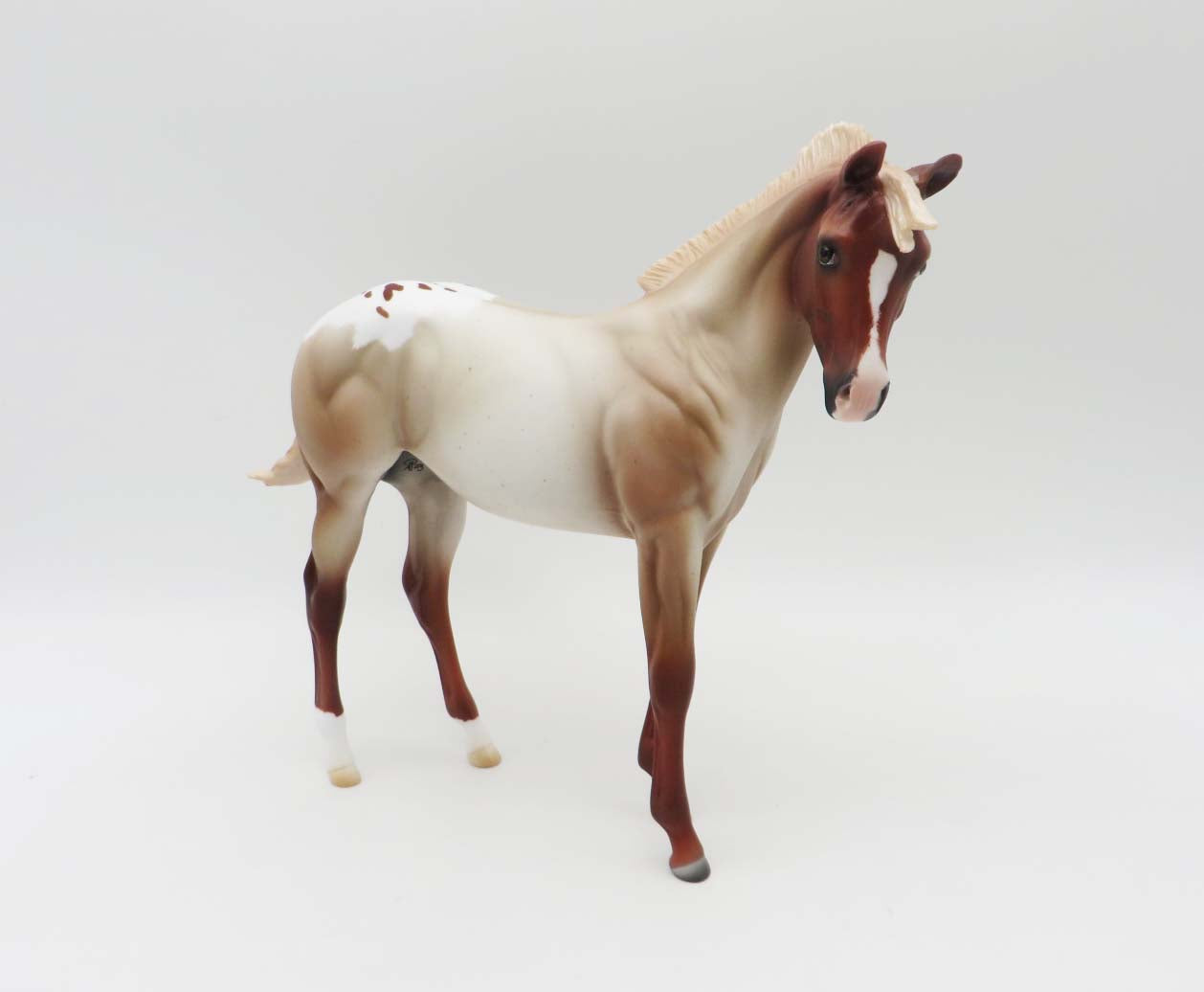 Vaquero -OOAK Chestnut Appaloosa Weanling By Ashley- SHCF23