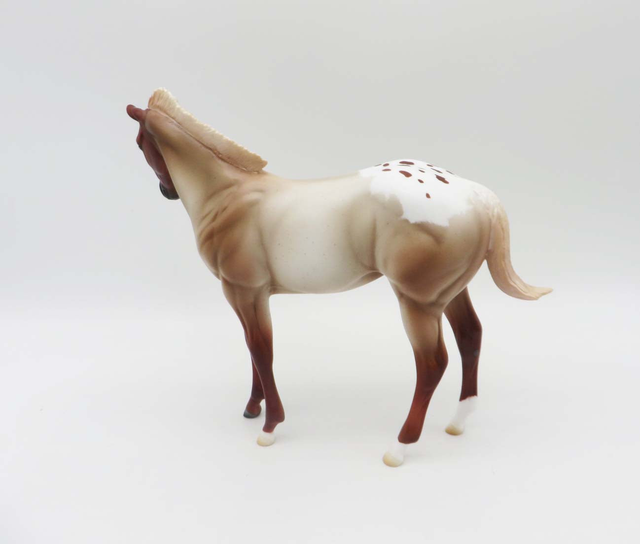 Vaquero -OOAK Chestnut Appaloosa Weanling By Ashley- SHCF23