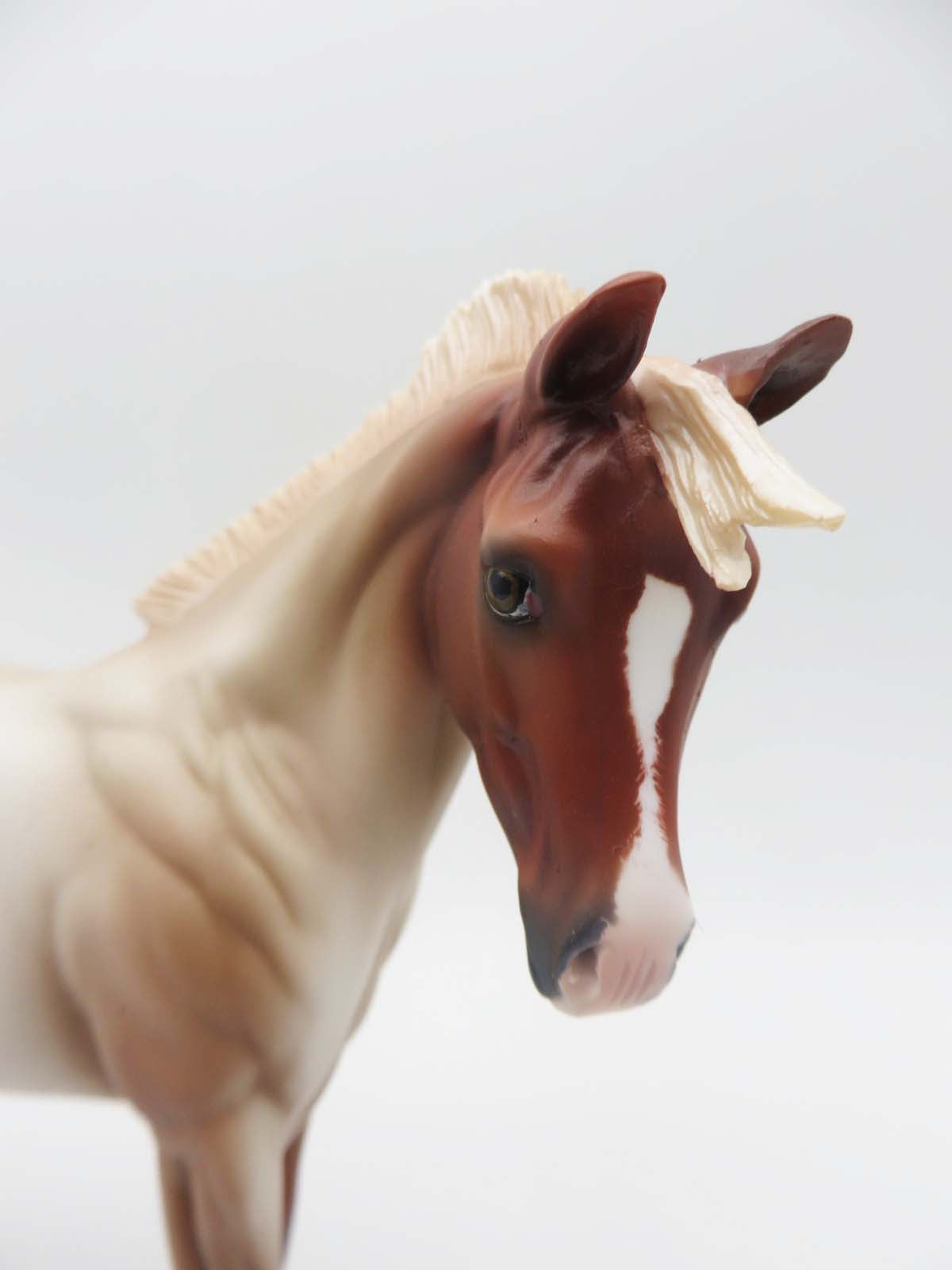 Vaquero -OOAK Chestnut Appaloosa Weanling By Ashley- SHCF23