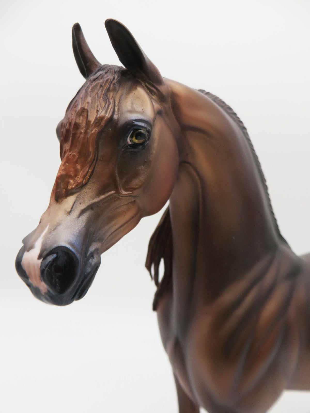 Velveteen - OOAK - Chestnut Arabian by Jess Hamill - Best Offers 1/23/23