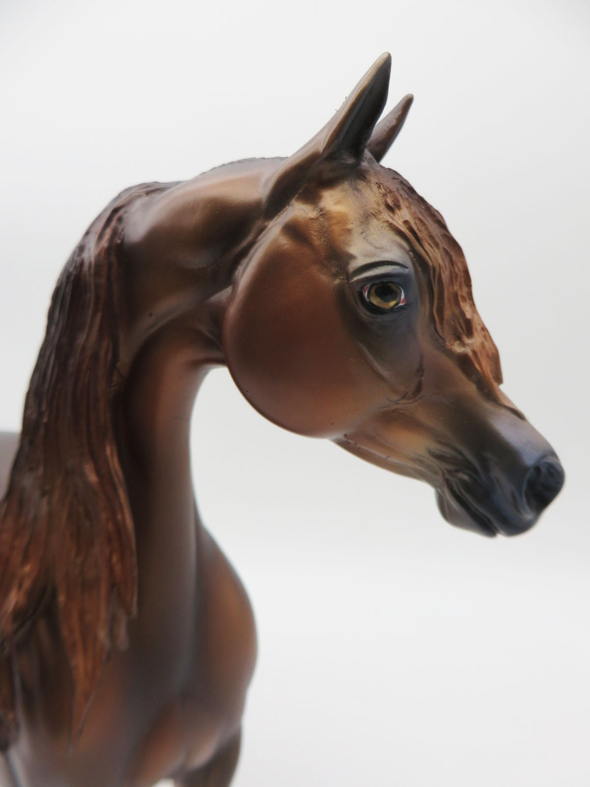 Velveteen - OOAK - Chestnut Arabian by Jess Hamill - Best Offers 1/23/23