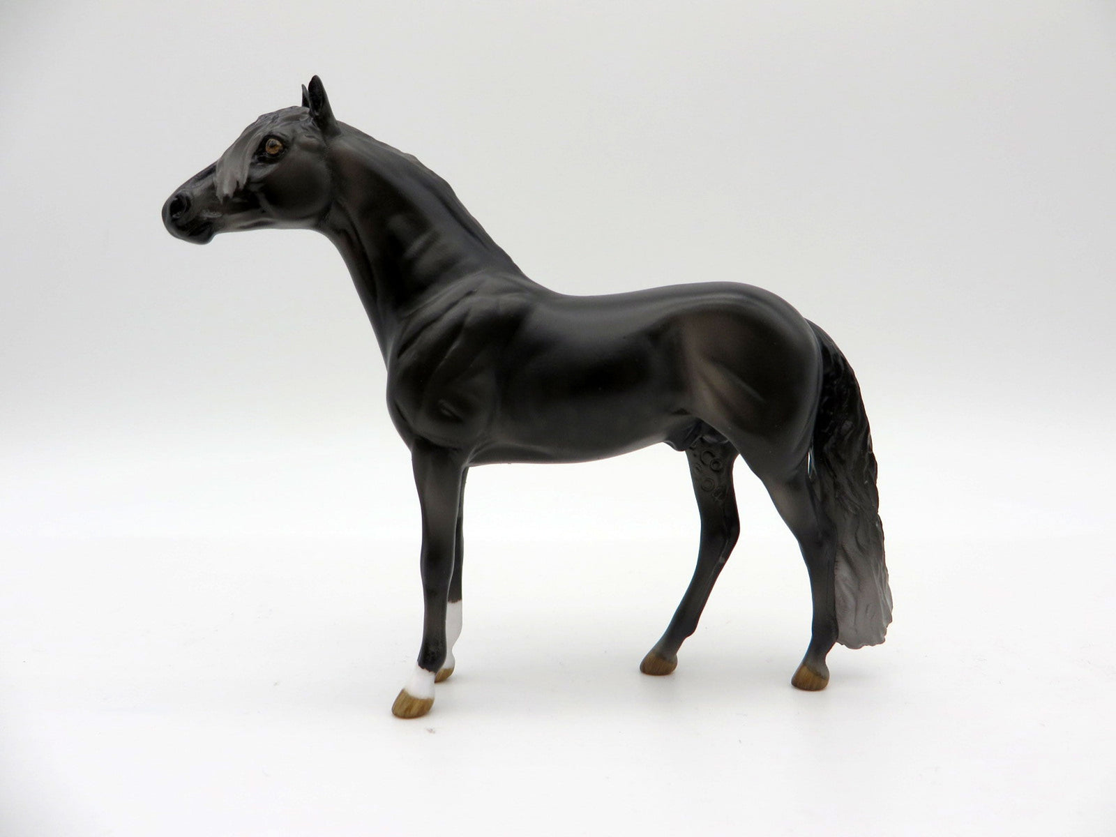 Vencedor- LE-? Dark Dapple Grey Andalusian Instagram Meet Up Special Run  EQ 21