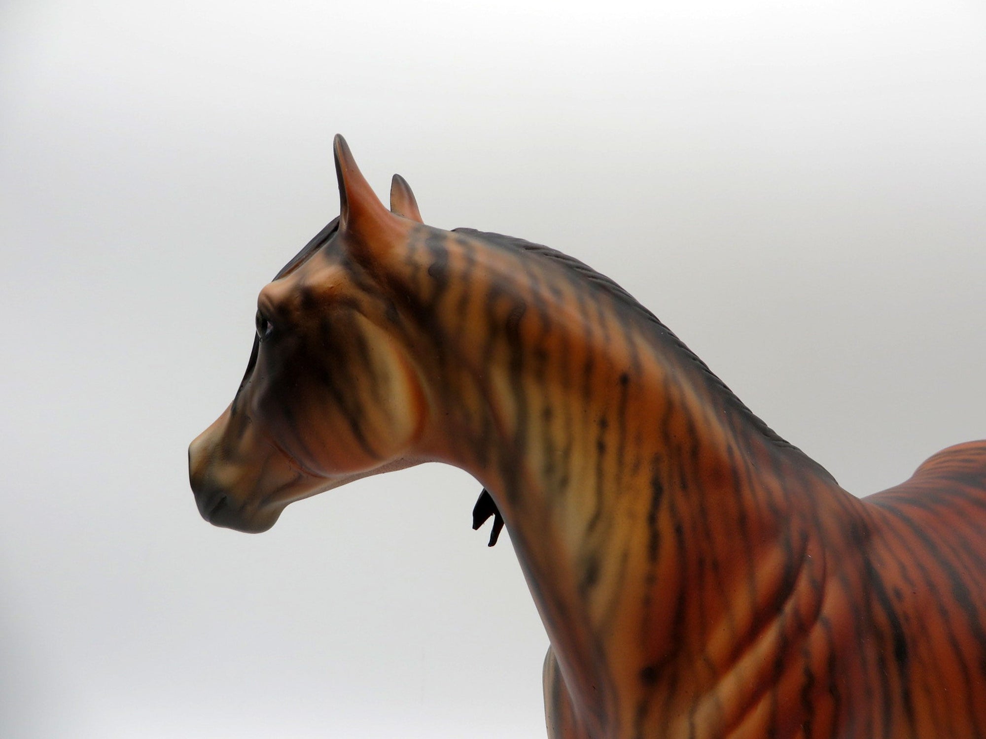 Vinca-OOAK Brindle ISH By Dawn Quick SHCF 21